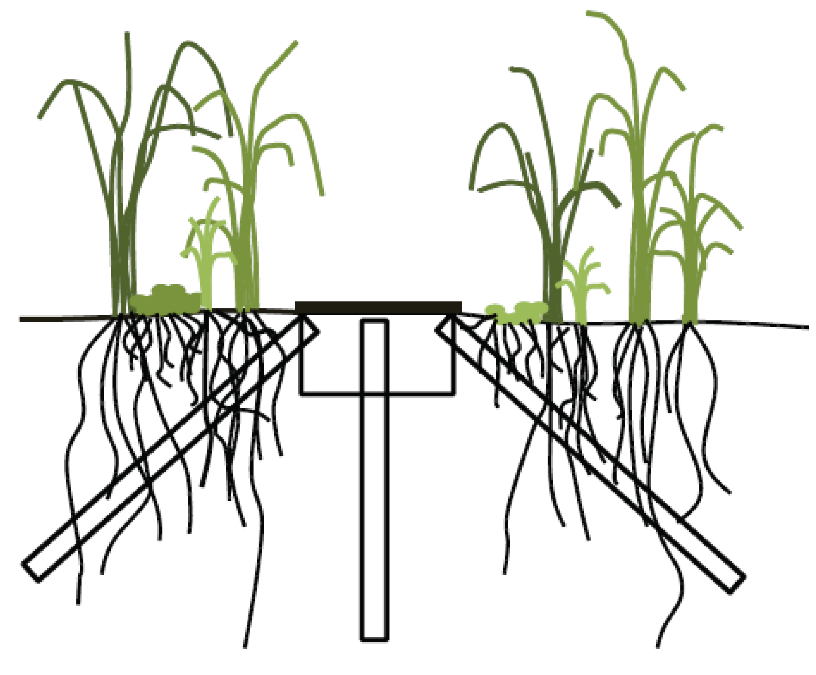 Agronomy 03 00508 g001