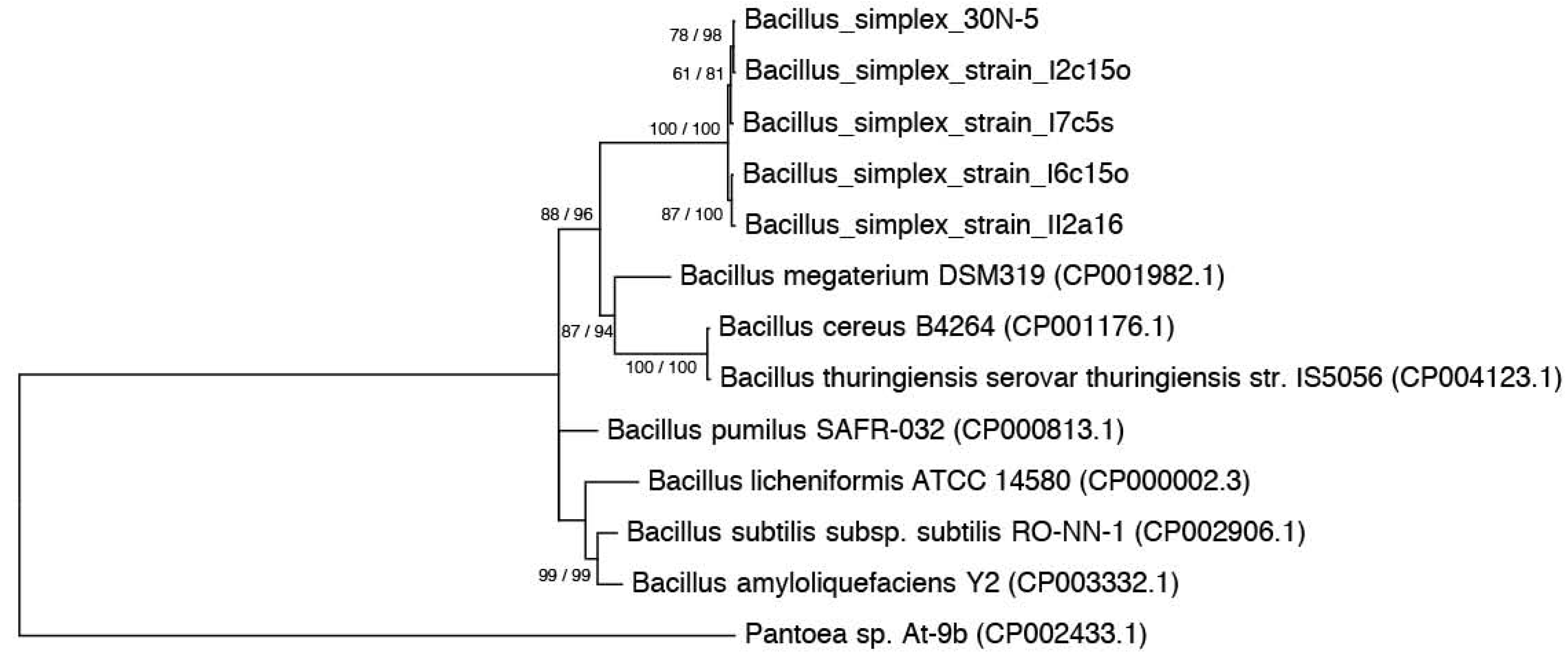 Agronomy 03 00595 g001 550