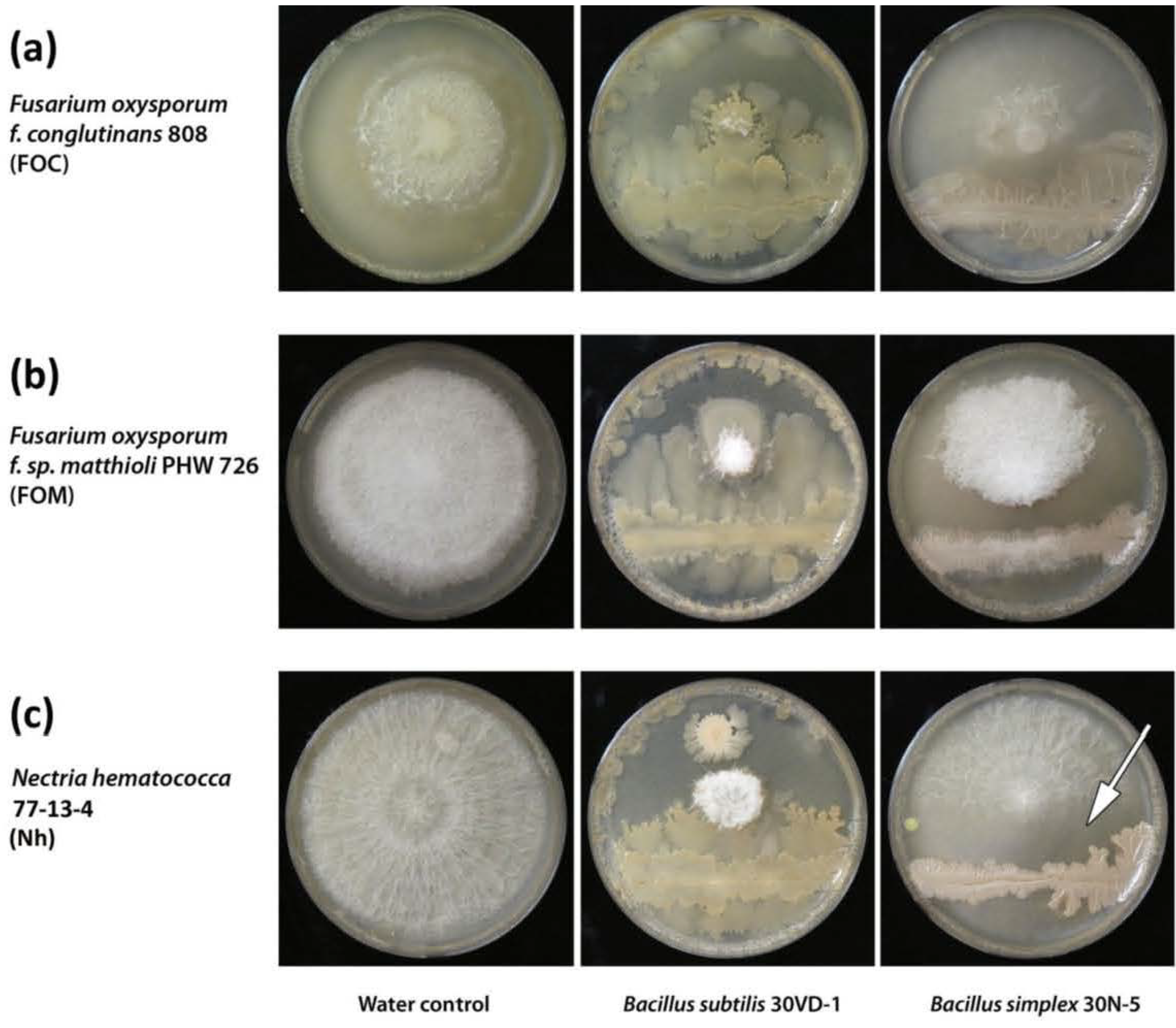 Agronomy 03 00595 g007 550