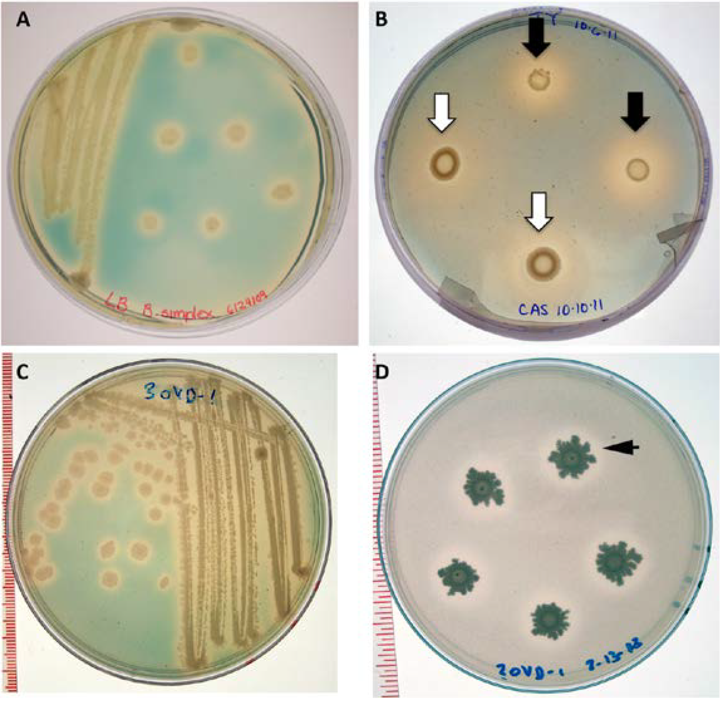 Agronomy 03 00595 g009 550