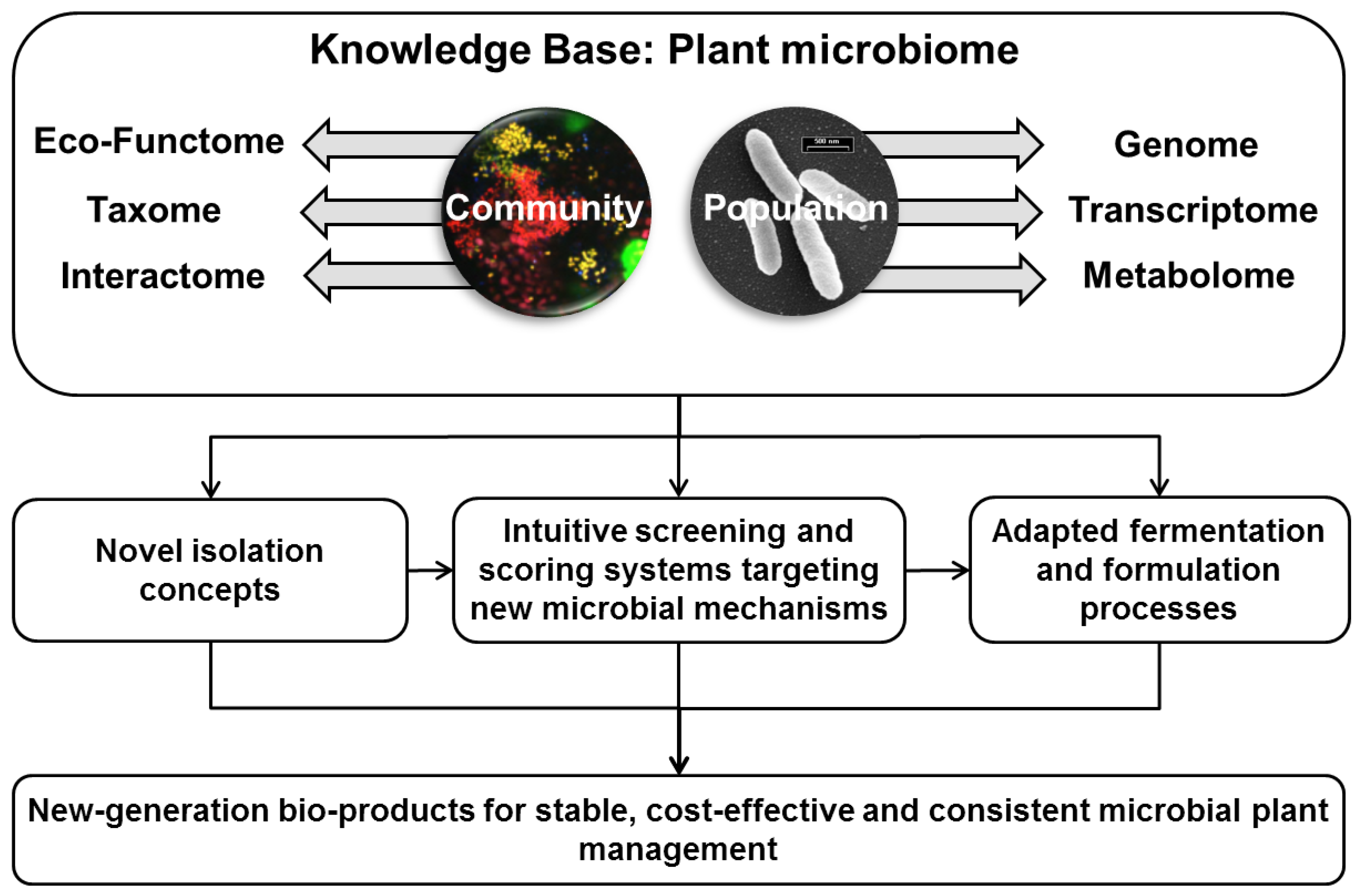 Agronomy 03 00648 g002
