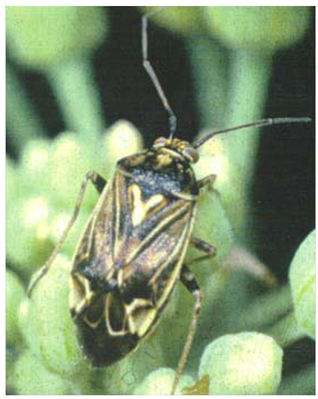 Agronomy 04 00144 g001 550