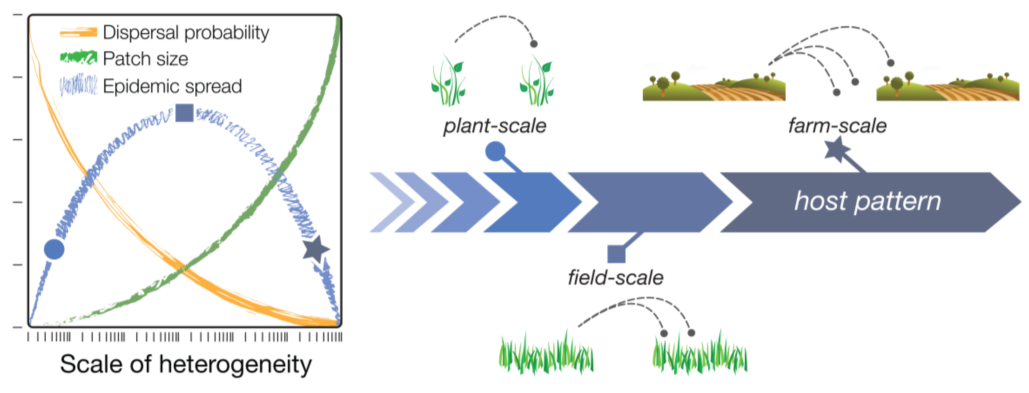 Agronomy 04 00178 g001 1024