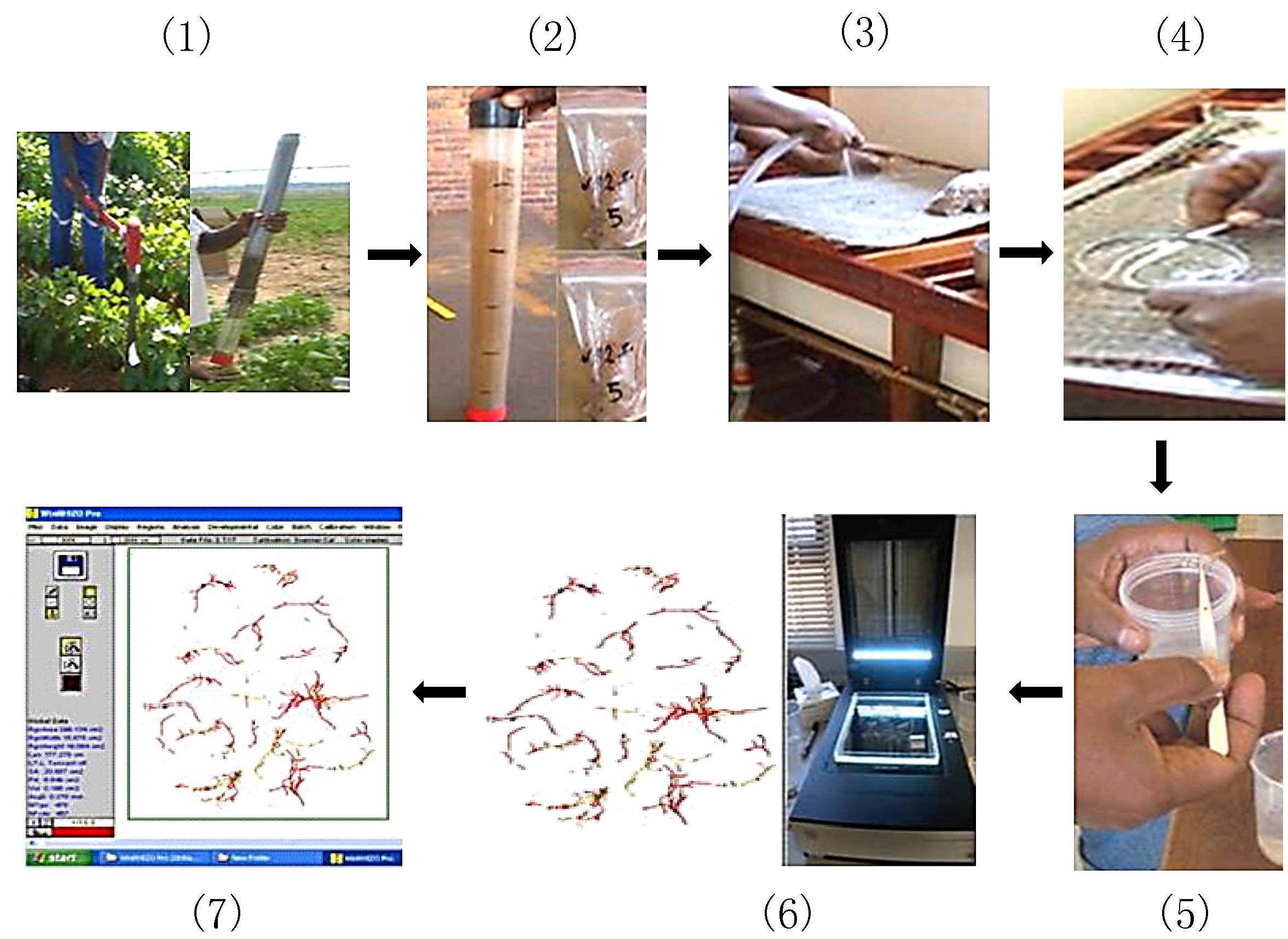 Agronomy 04 00418 g002