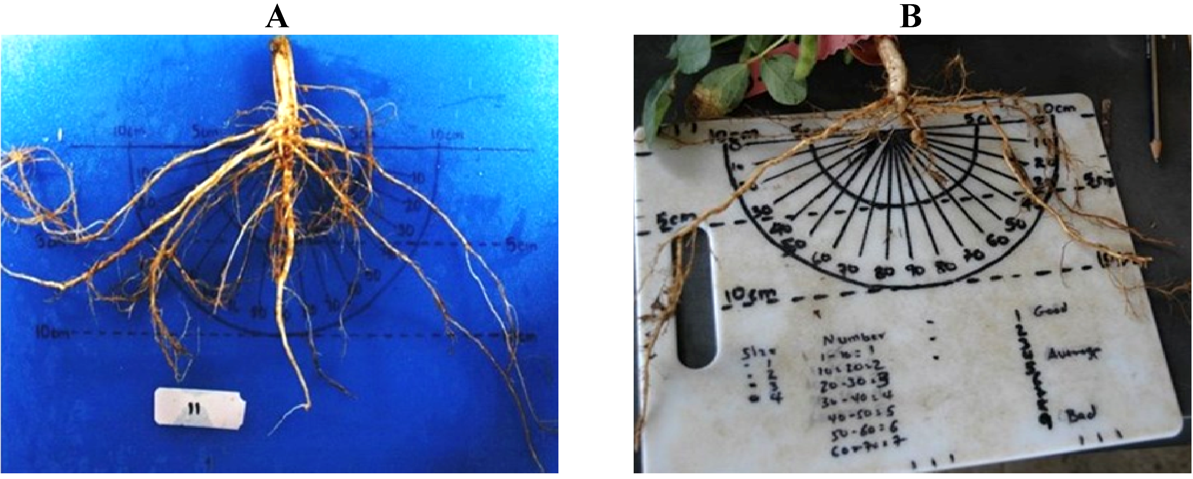 Agronomy 04 00418 g003