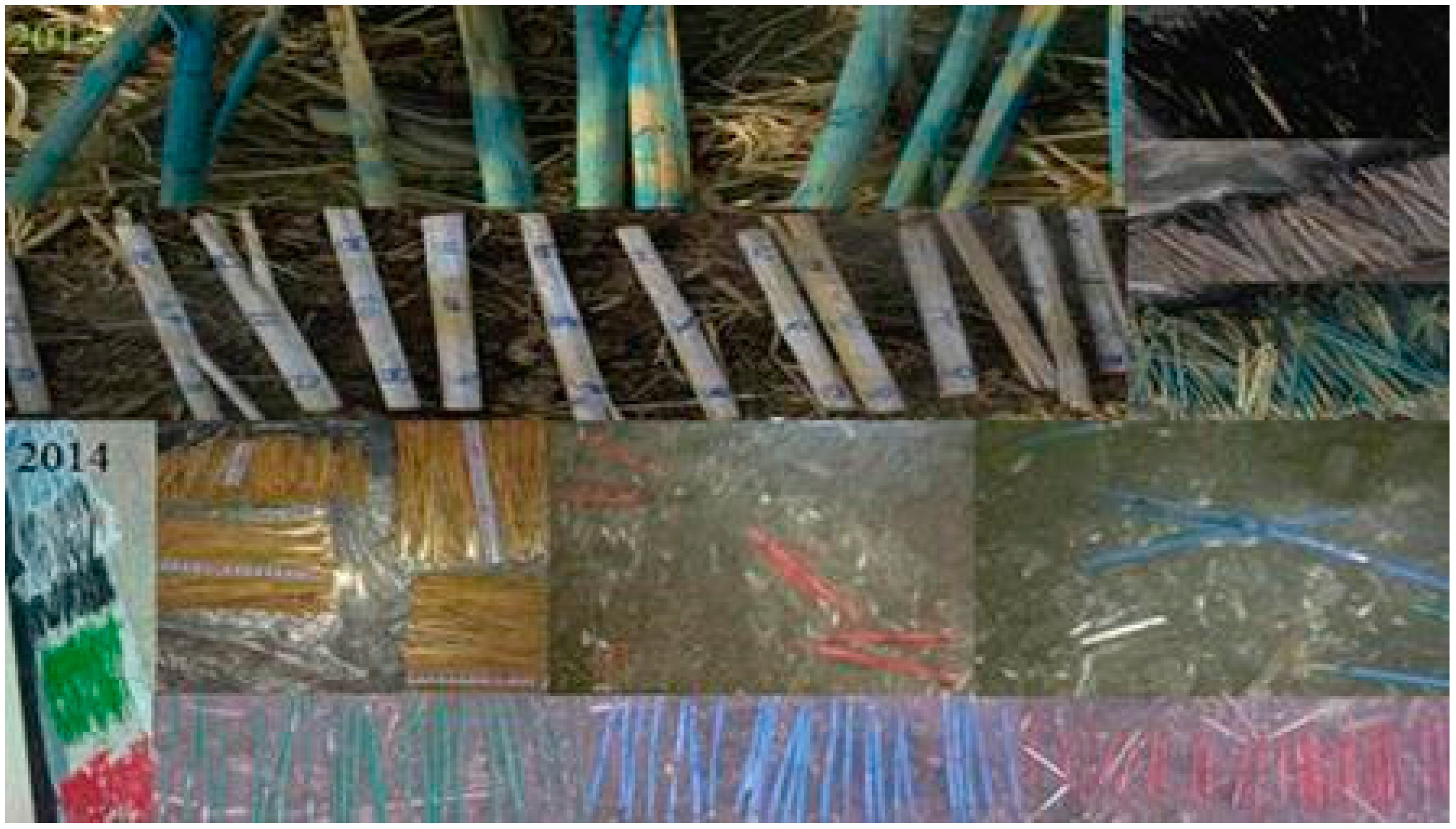 Agronomy 06 00030 g005 1024