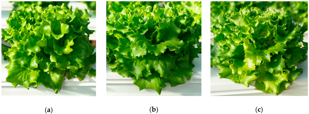 Agronomy 06 00037 g008 1024