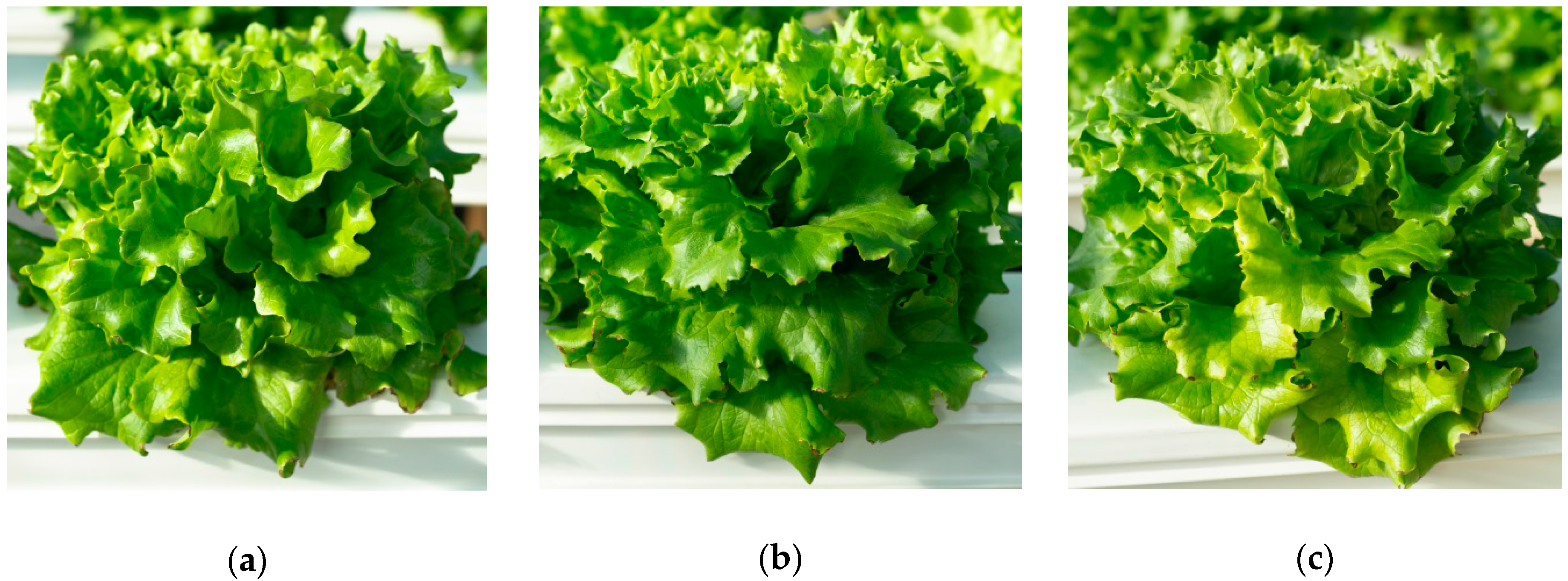 Agronomy 06 00037 g008
