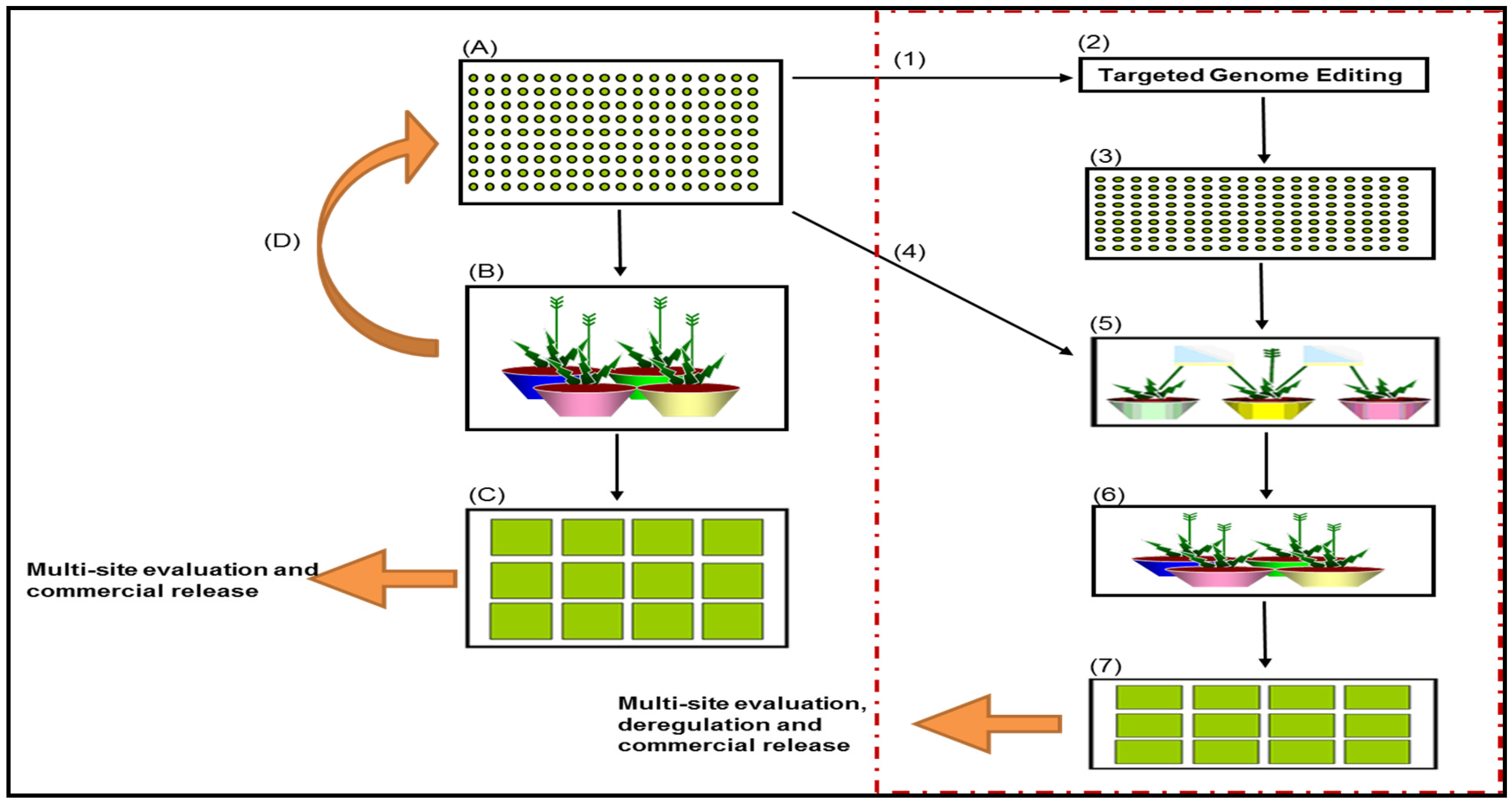 Agronomy 06 00056 g001