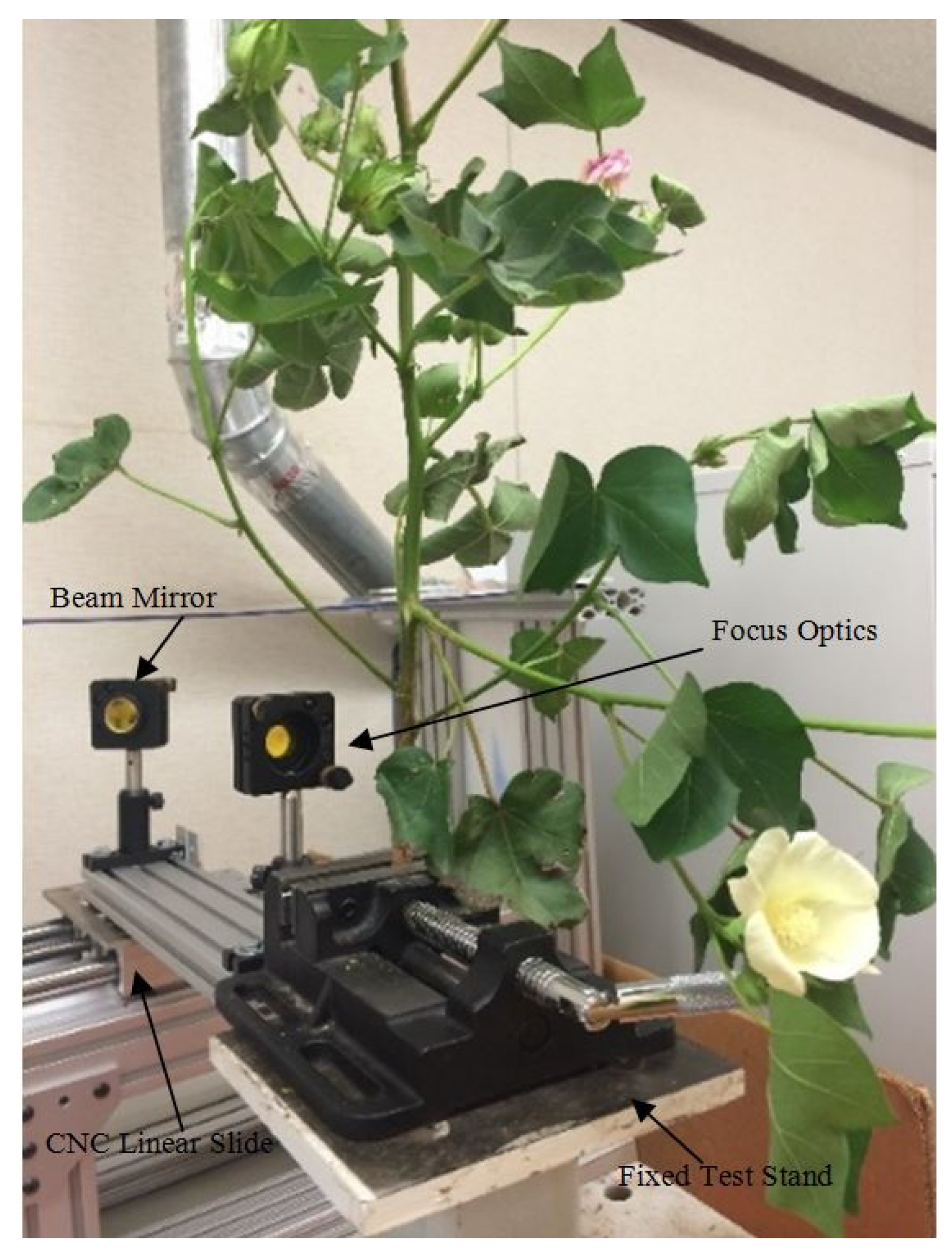 Agronomy 07 00009 g005 550