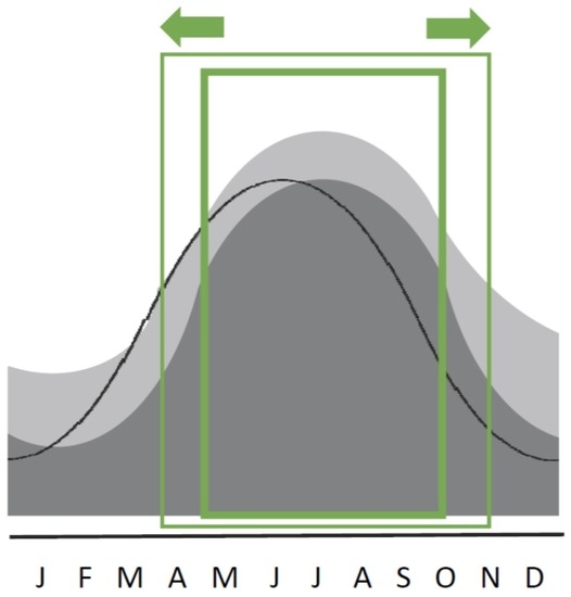 free oscillation and stability