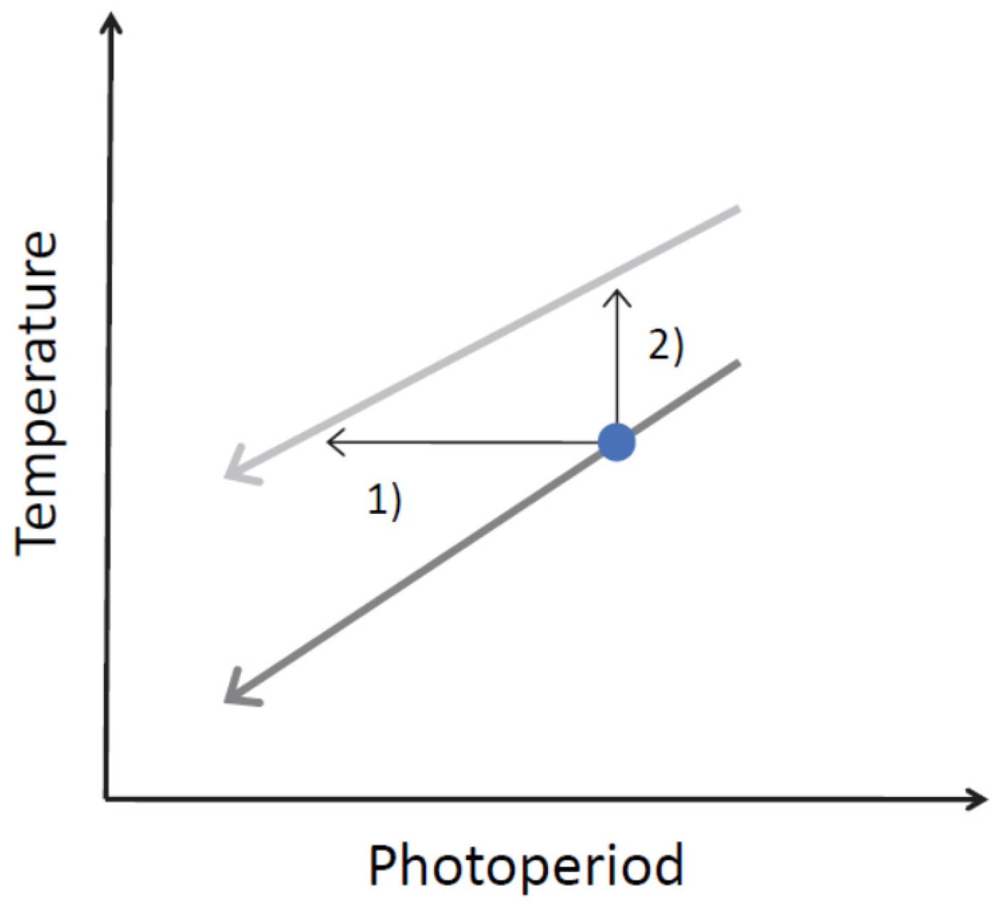 view boronic acids preparation