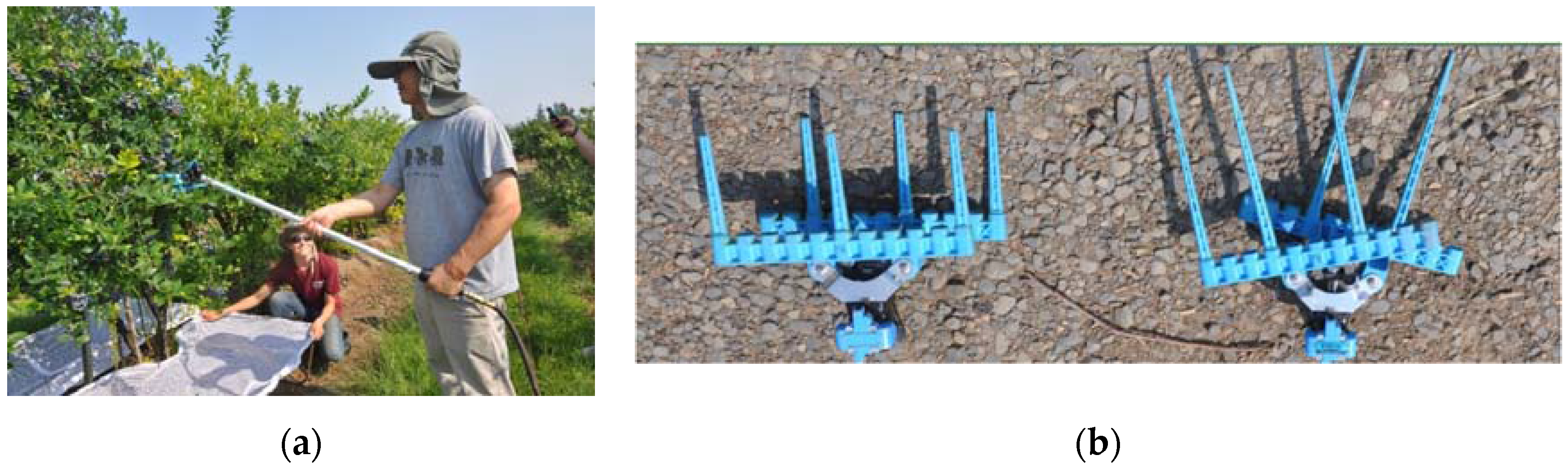 Agronomy 07 00033 g002 550