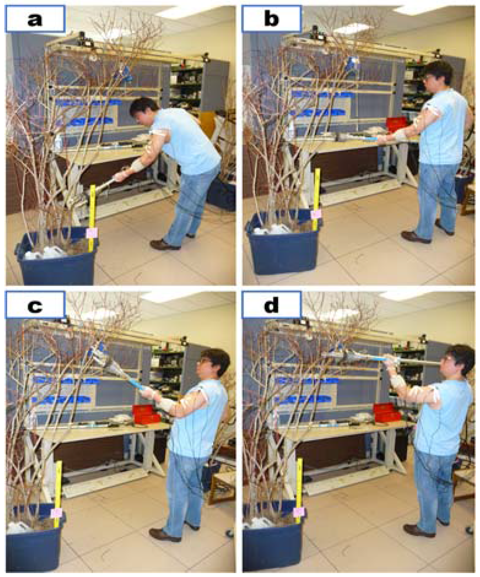 Agronomy 07 00033 g008 550