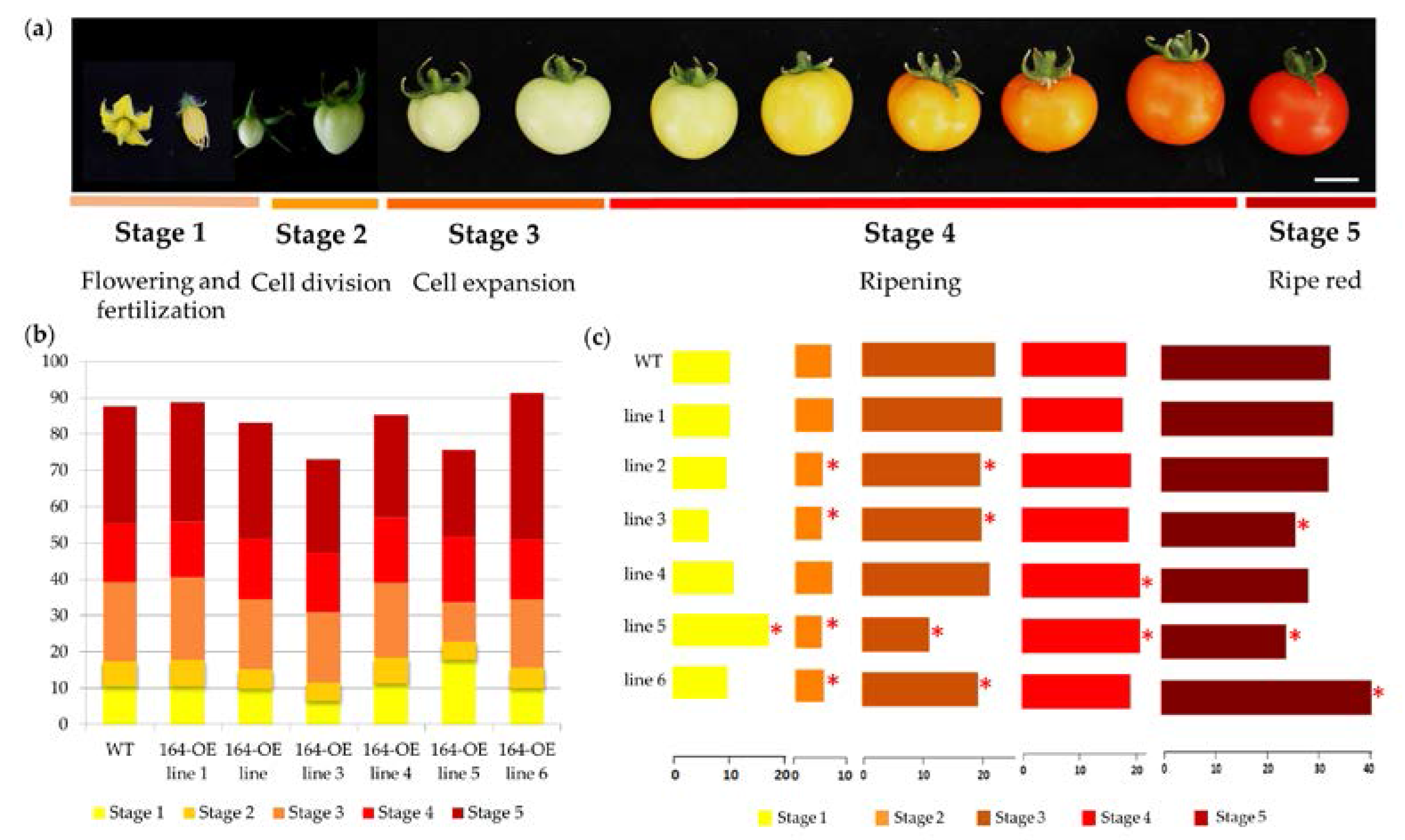 Agronomy 07 00048 g006