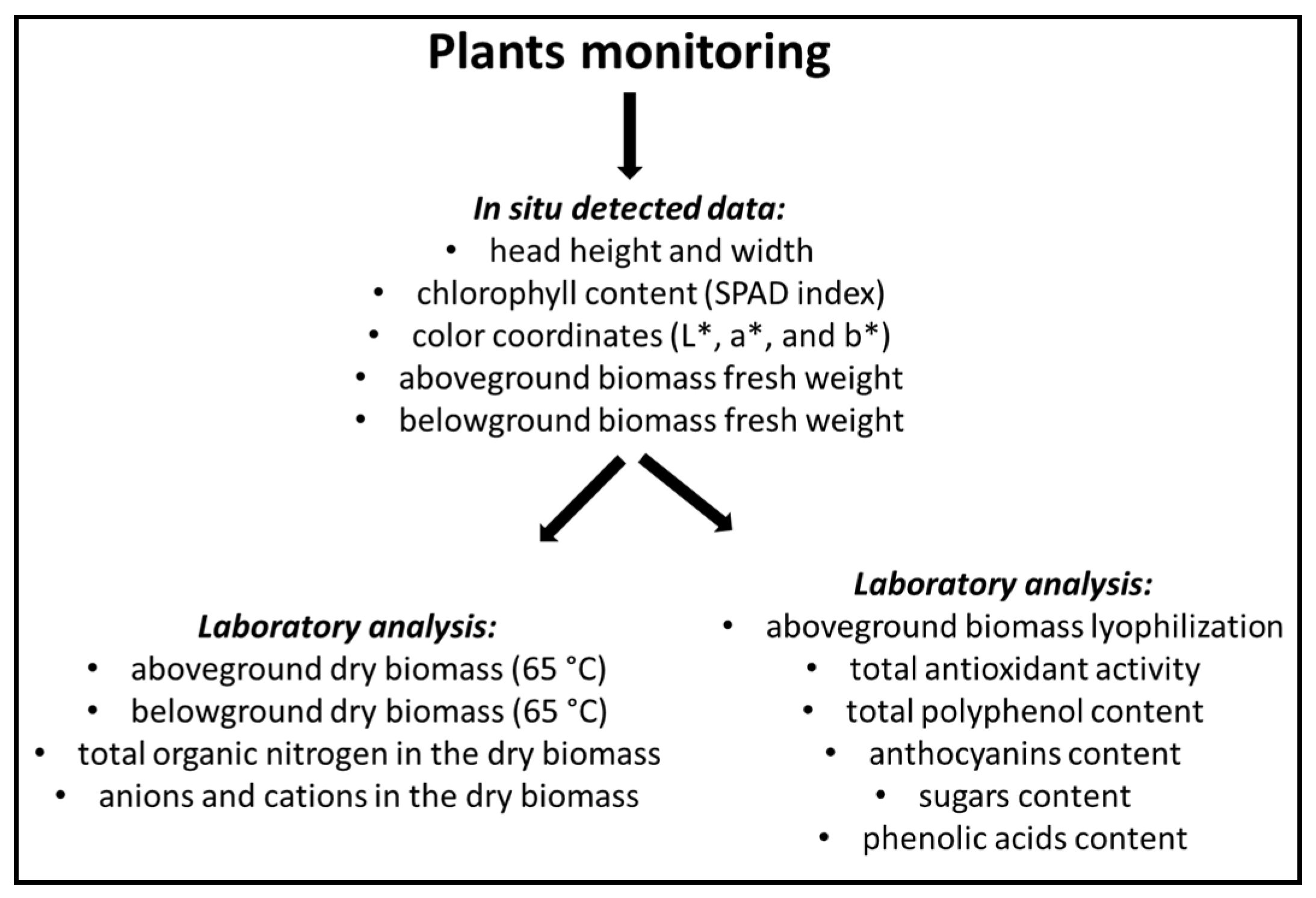 Agronomy 07 00063 g004