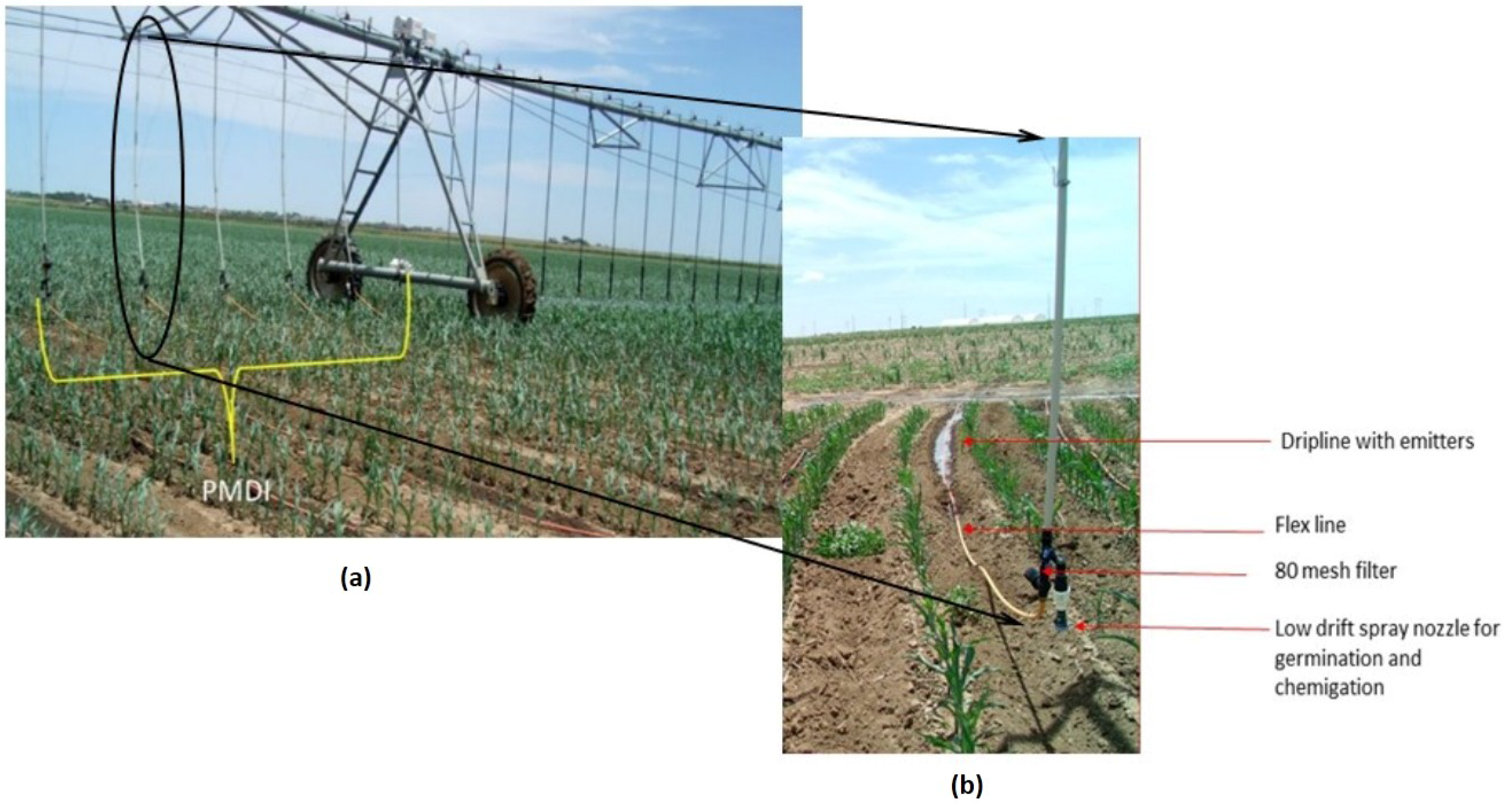 Agronomy 07 00068 g004 550