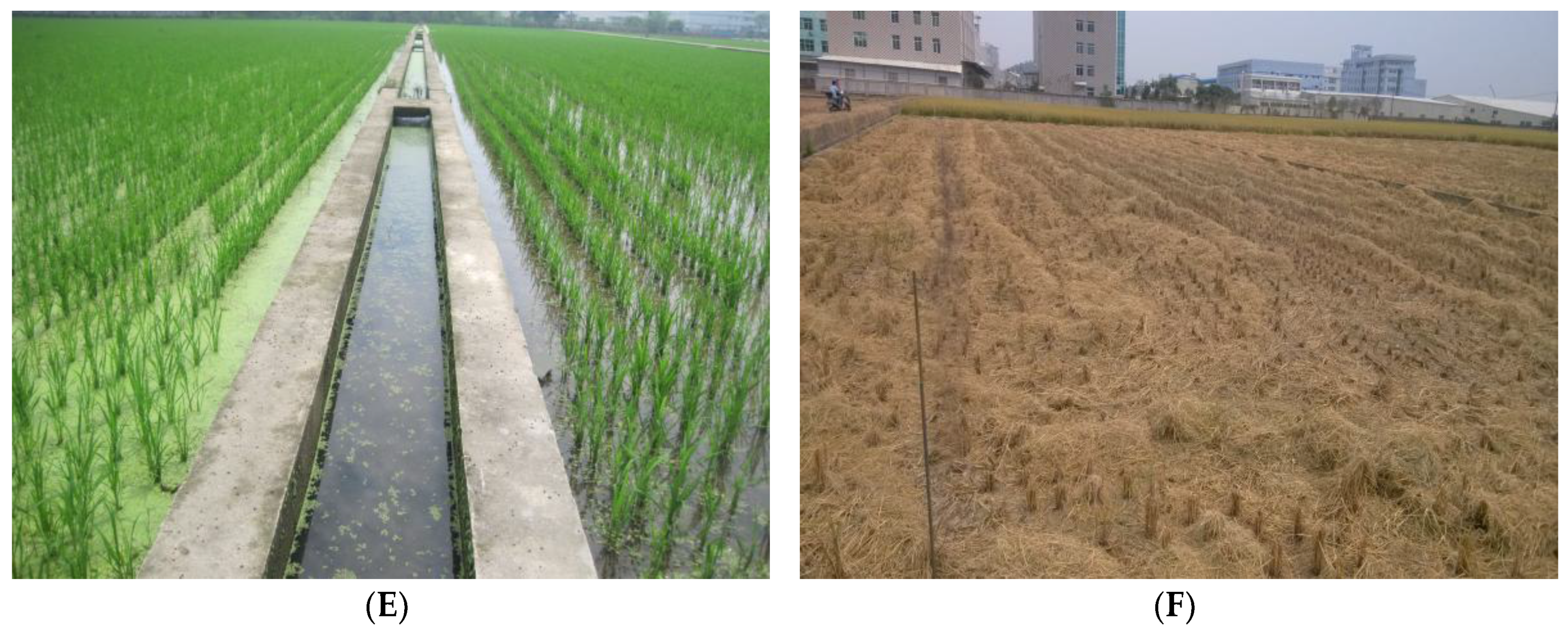 Agronomy 07 00084 g0a1b Agronomy 07 00084 g0a1b