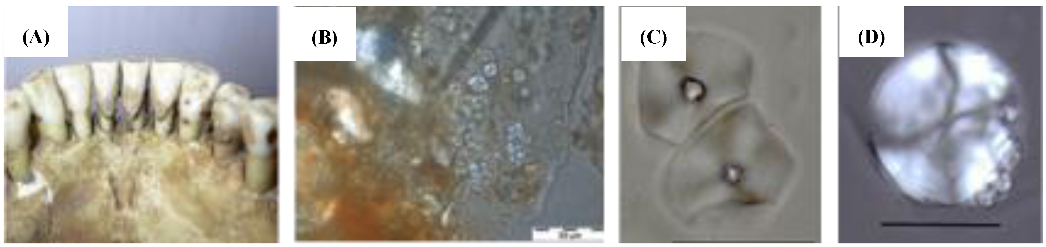 Agronomy 08 00004 g001 Agronomy 08 00004 g001