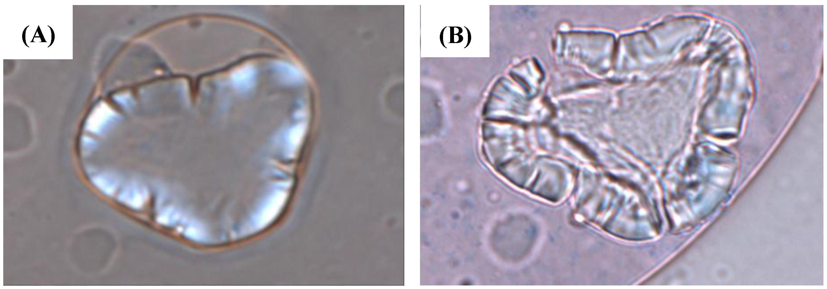 Agronomy 08 00004 g002 Agronomy 08 00004 g002