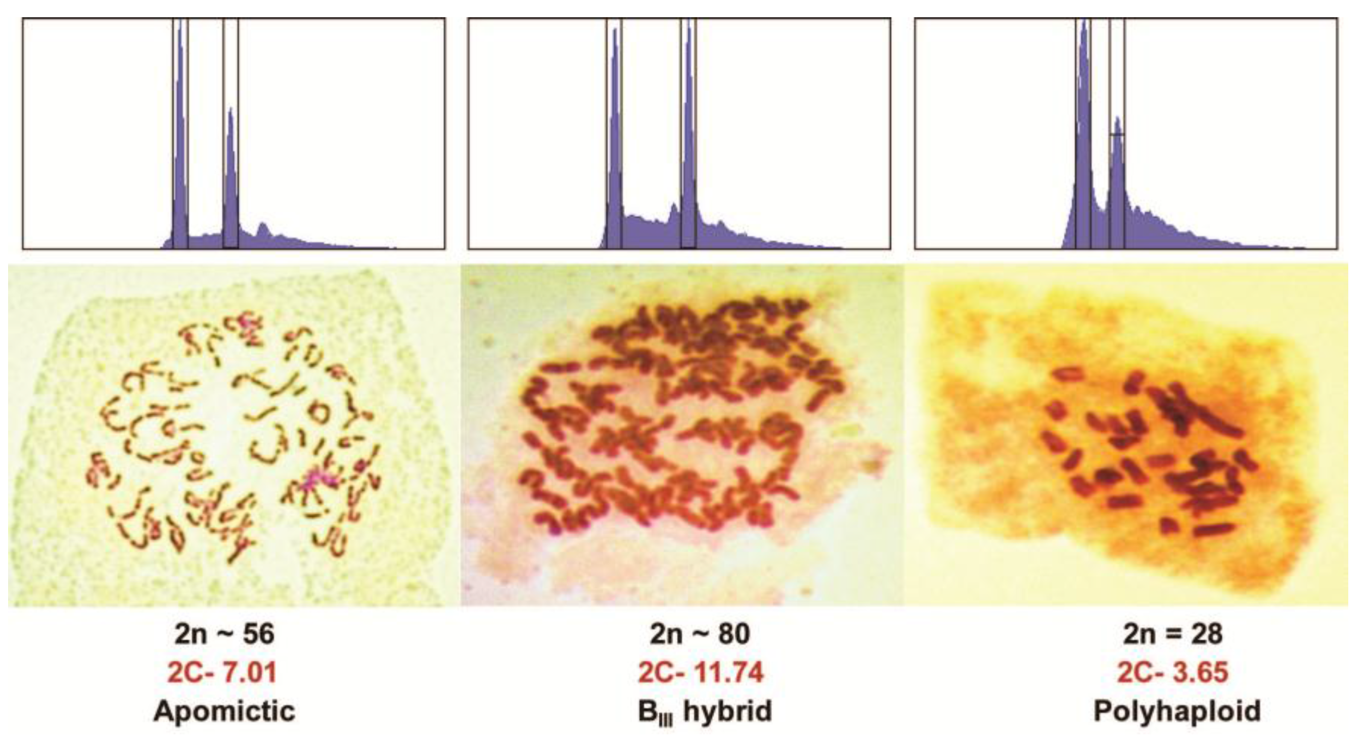 Agronomy 08 00017 g002 550