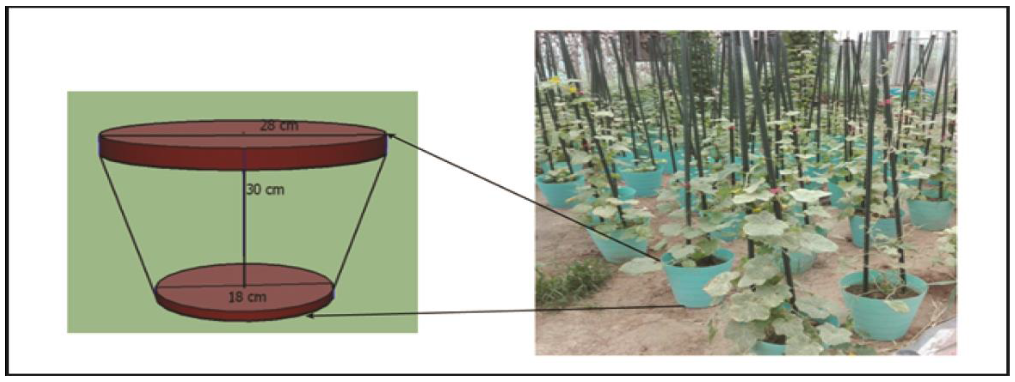 Agronomy 08 00022 g001 550