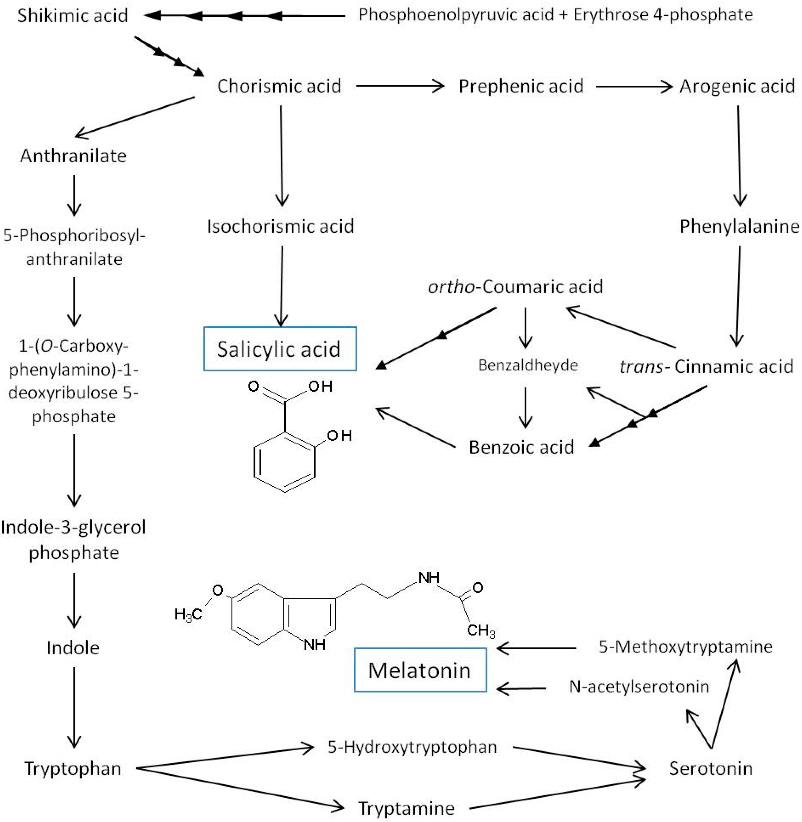 Agronomy 08 00033 g001 550
