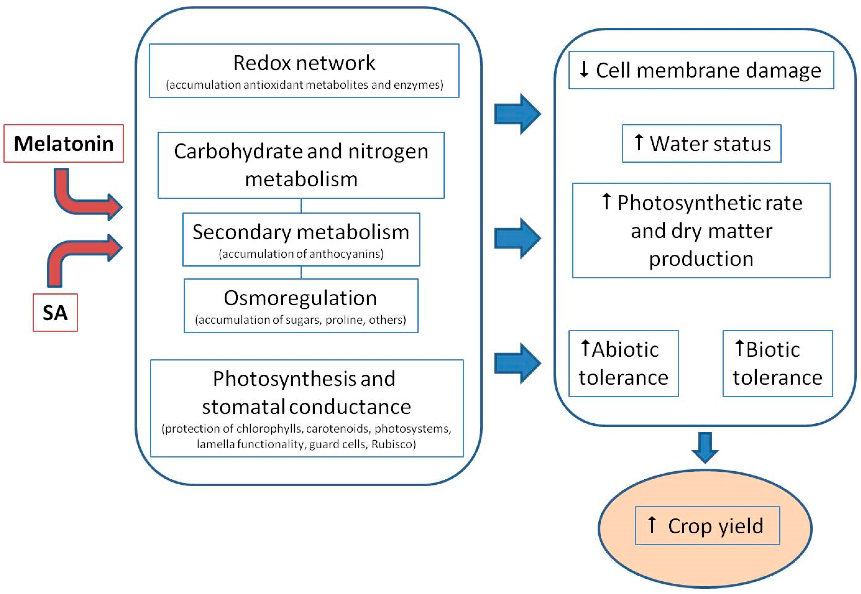 Agronomy 08 00033 g004 550