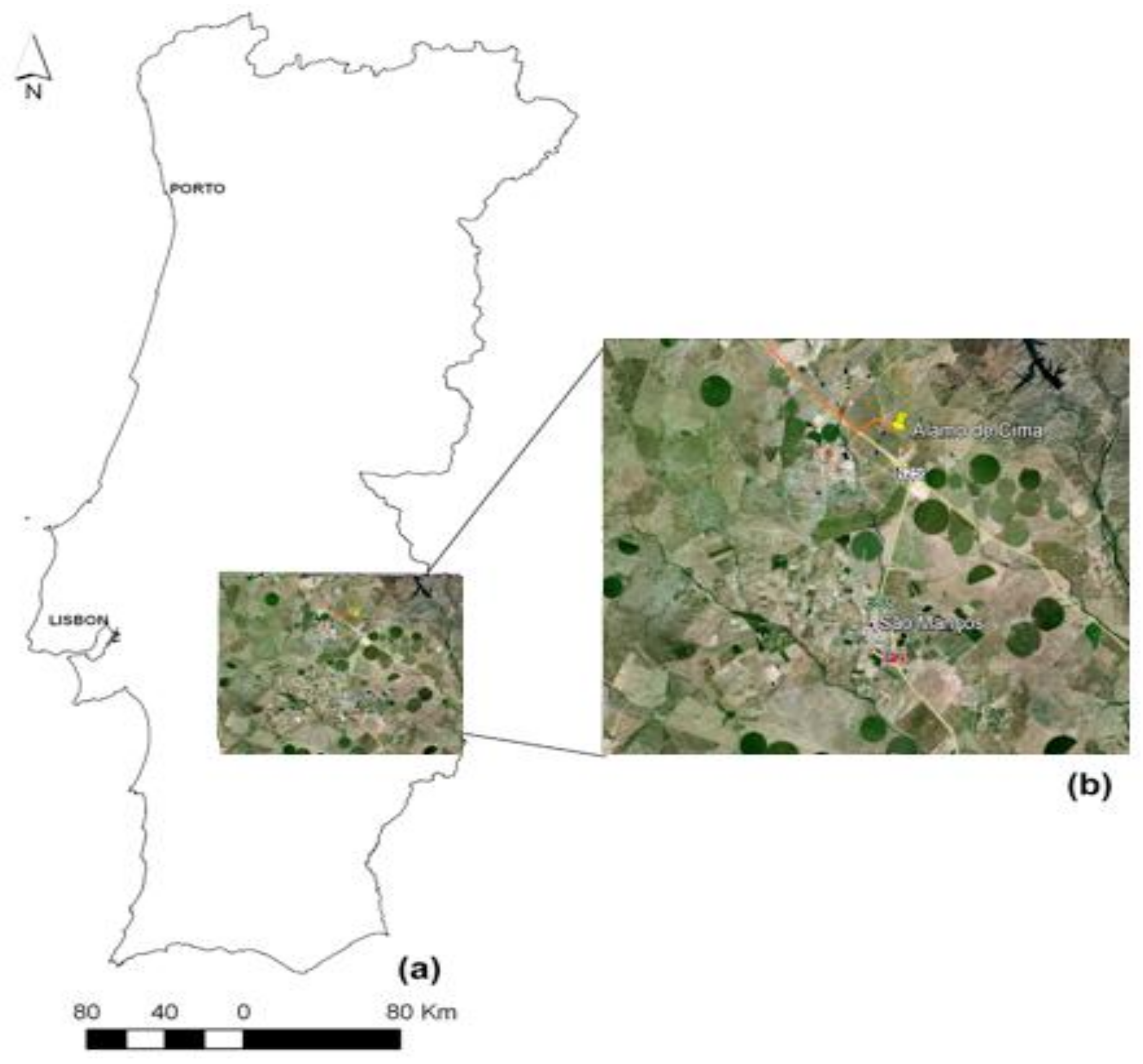 Agronomy 08 00043 g001