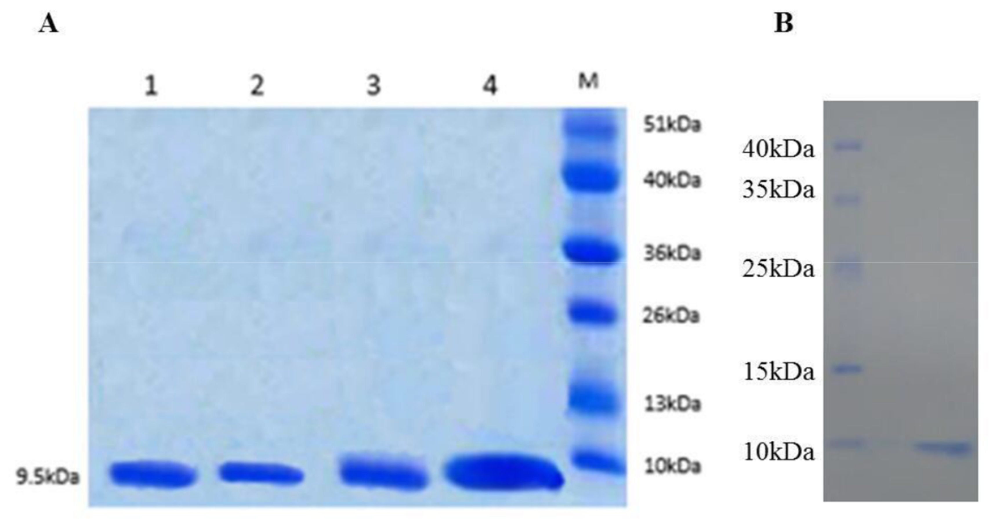 Agronomy 08 00046 g002 Agronomy 08 00046 g002