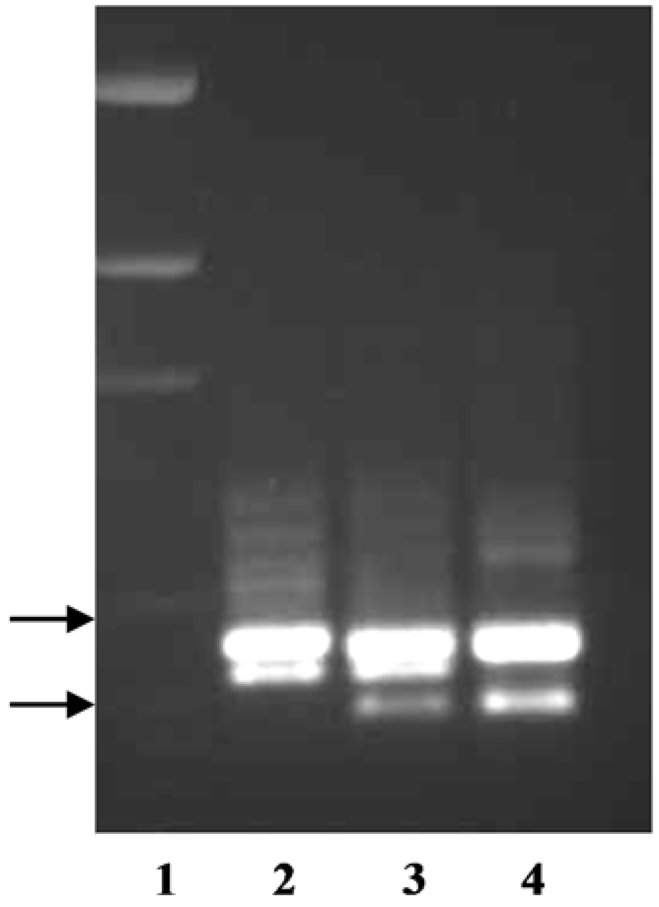 Agronomy 08 00058 g002 550