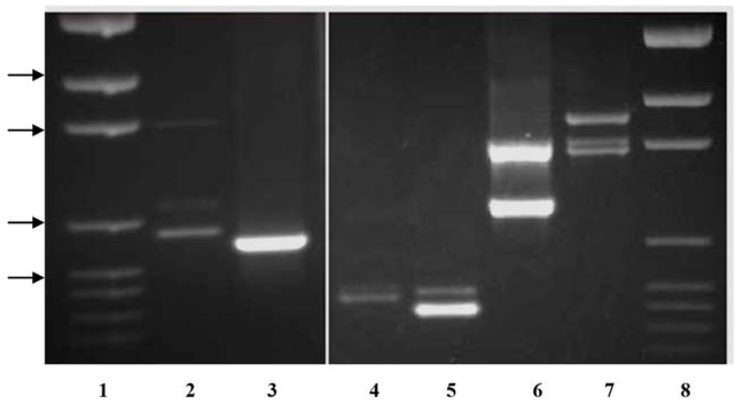 Agronomy 08 00058 g003 550