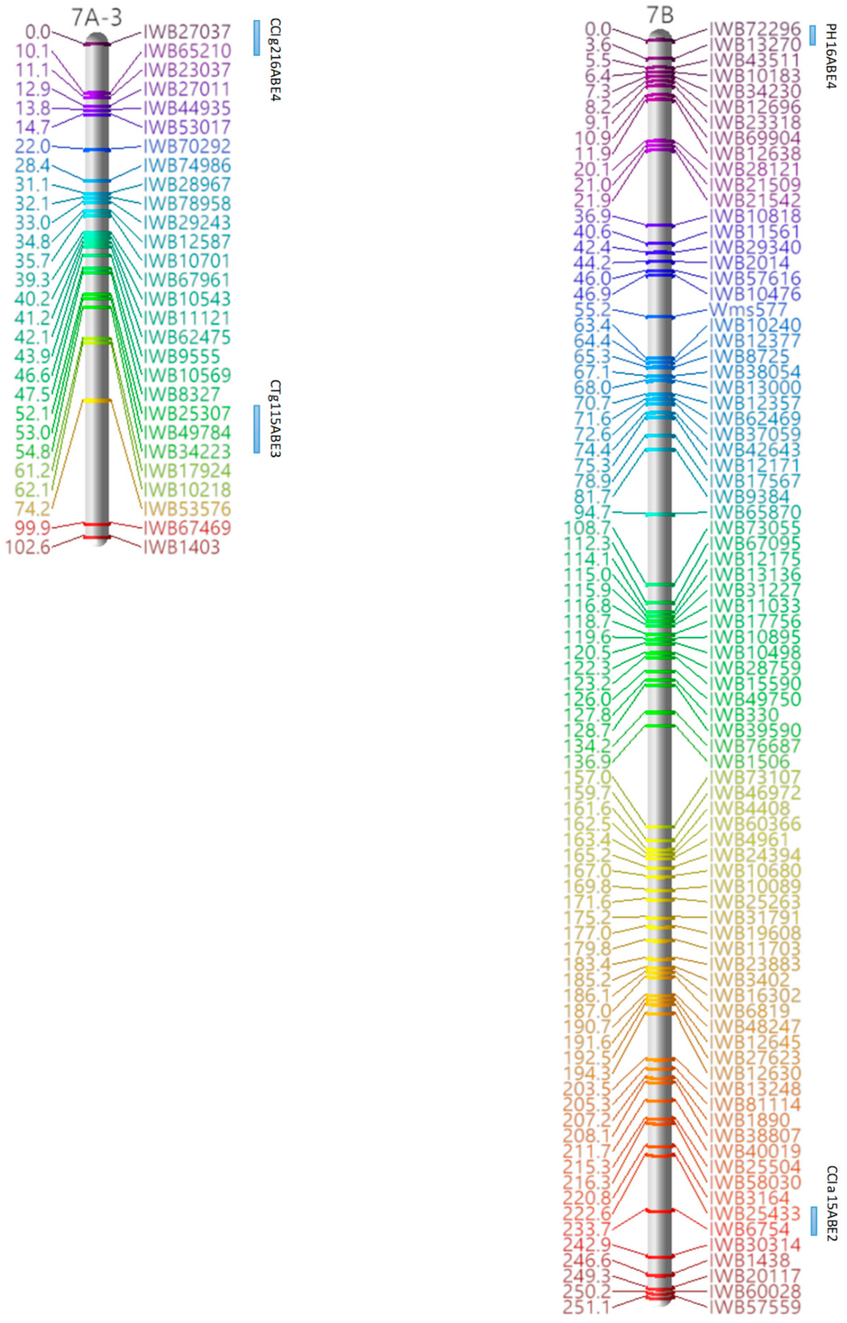 Genome-Wide Linkage Mapping of Quantitative Trait Loci for