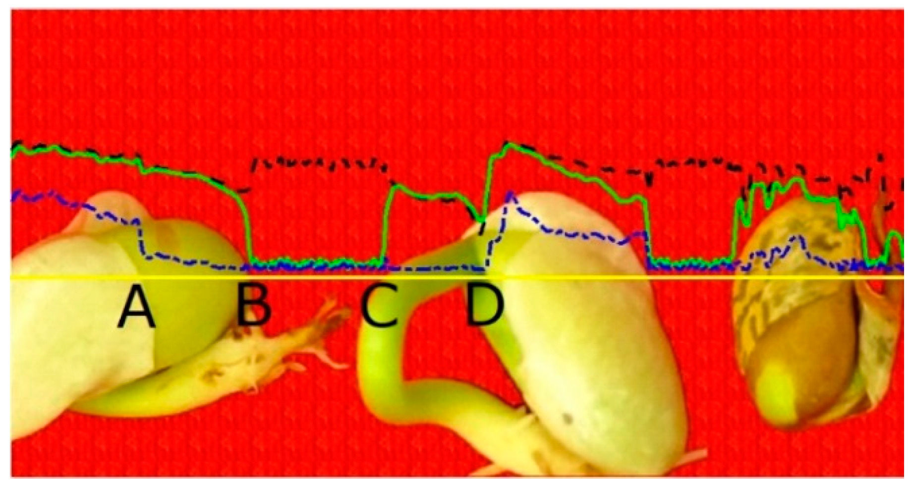 Agronomy 08 00063 g003 550