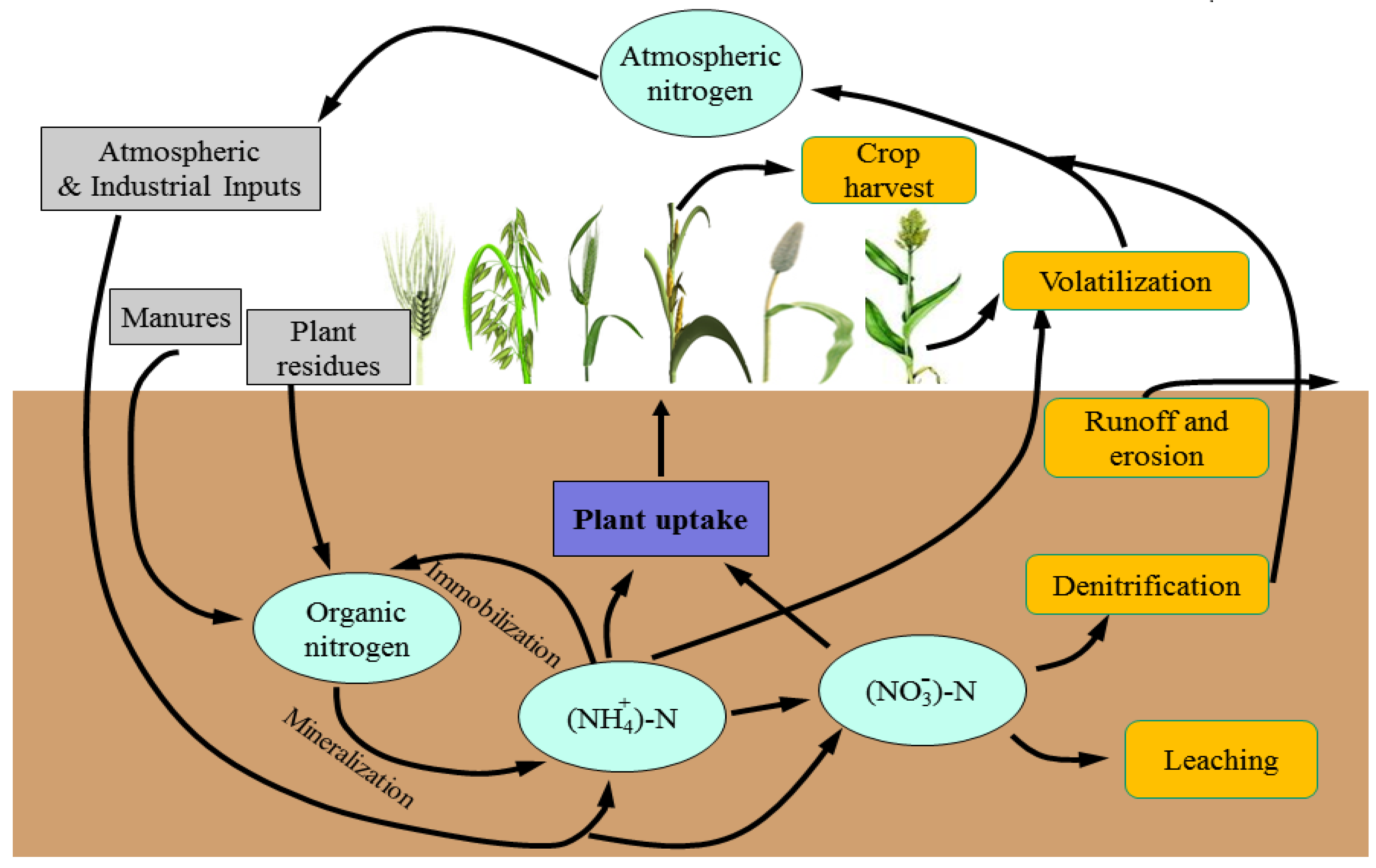 Agronomy 08 00069 g002