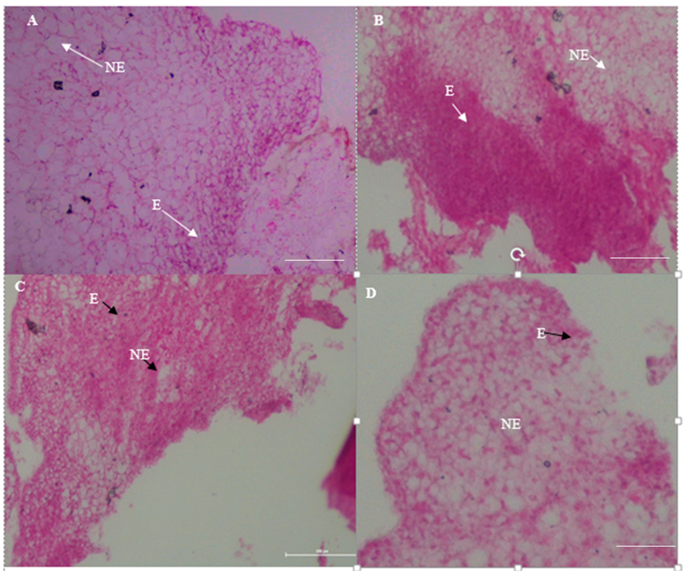 Agronomy 08 00077 g007