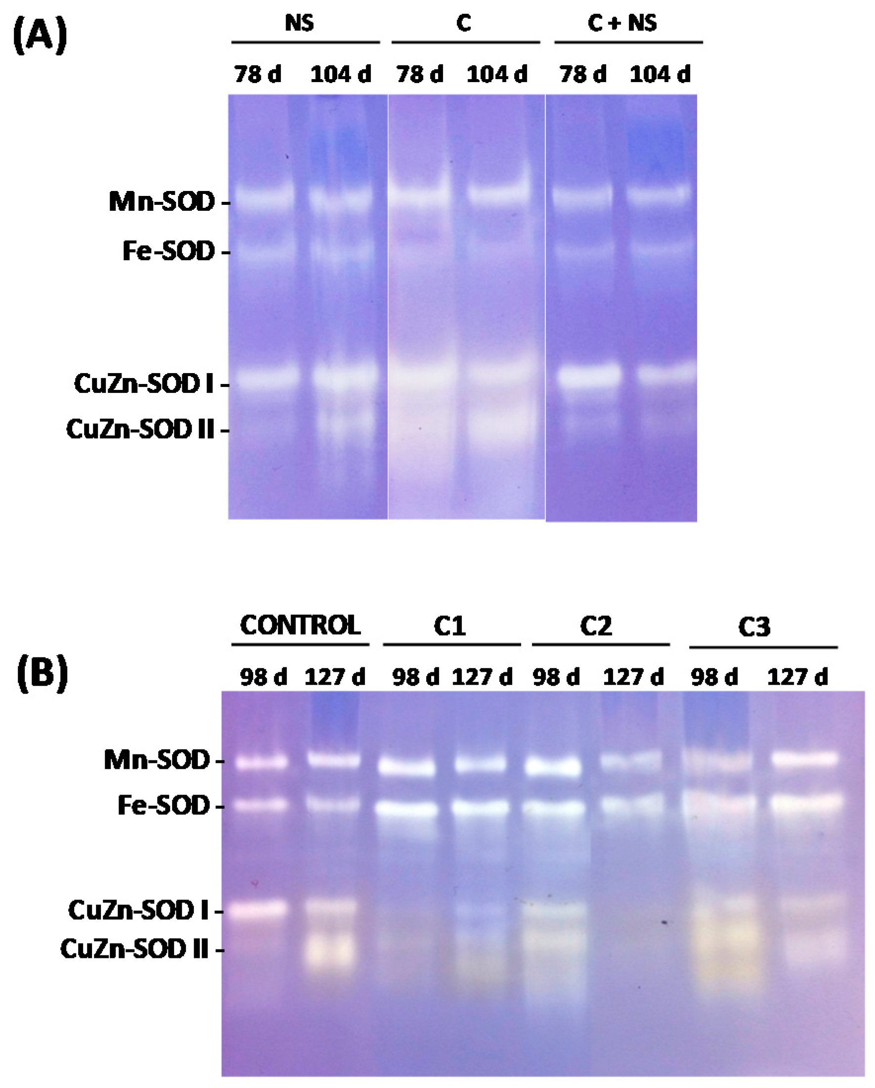 Agronomy 08 00082 g001 Agronomy 08 00082 g001