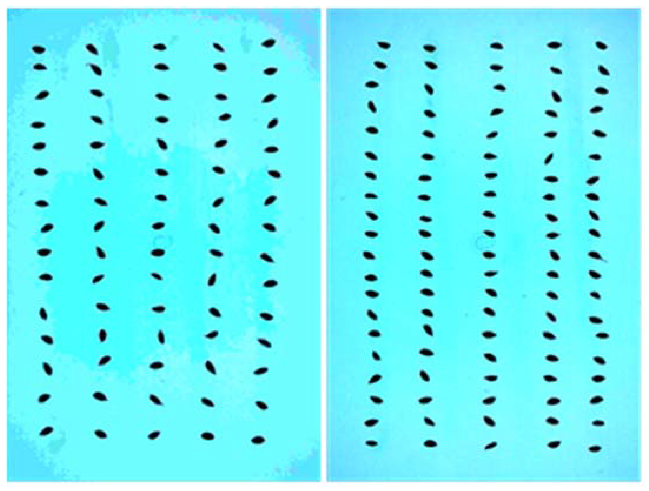 Agronomy 08 00091 g003 Agronomy 08 00091 g003