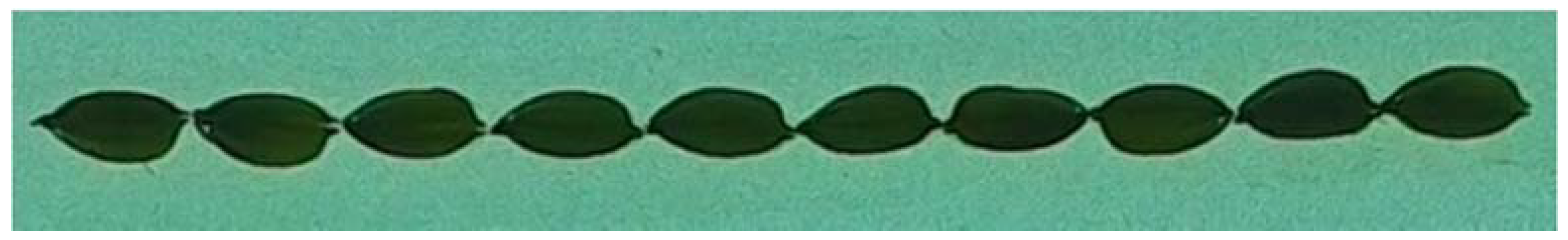 Agronomy 08 00091 g005 Agronomy 08 00091 g005