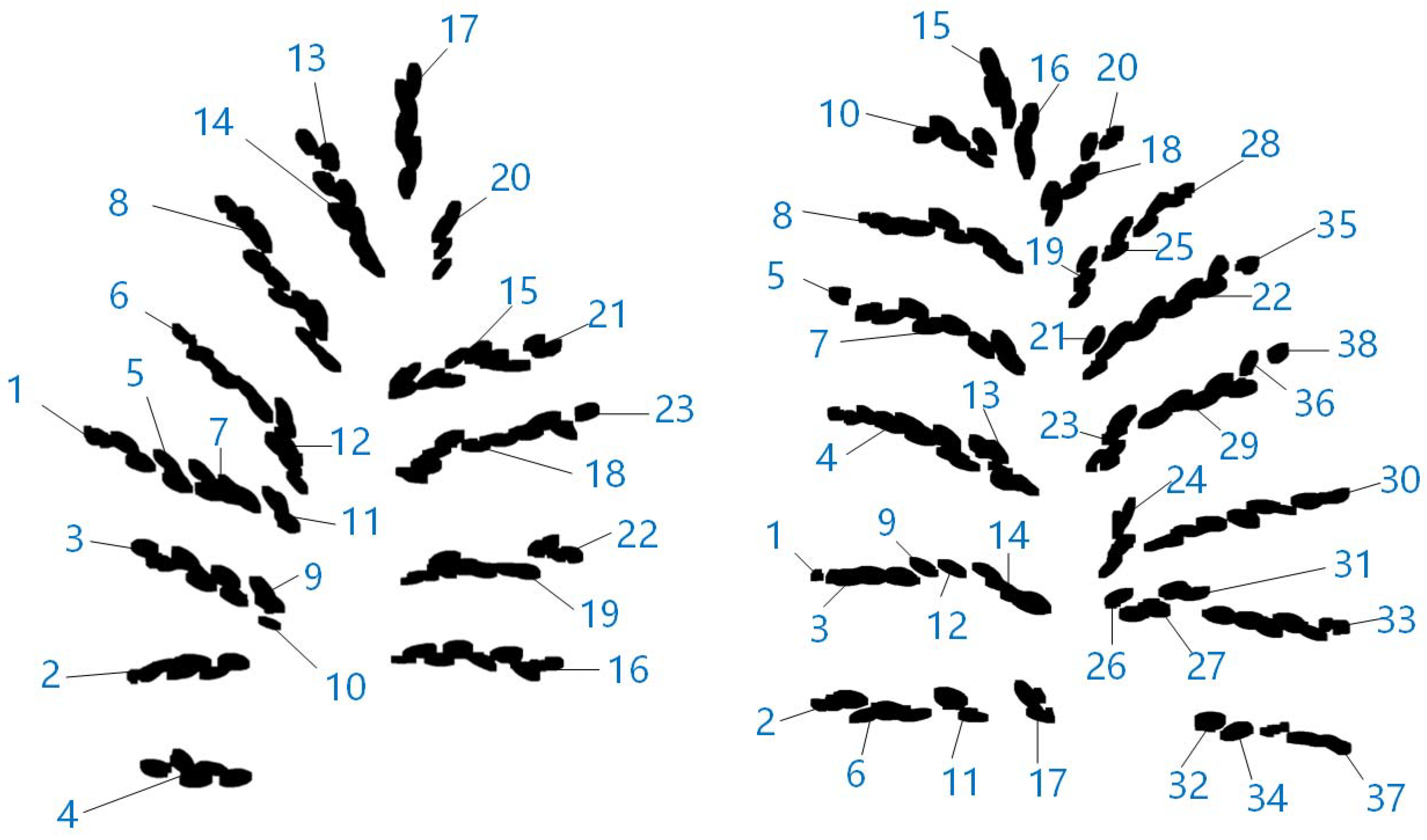 Agronomy 08 00091 g010 Agronomy 08 00091 g010