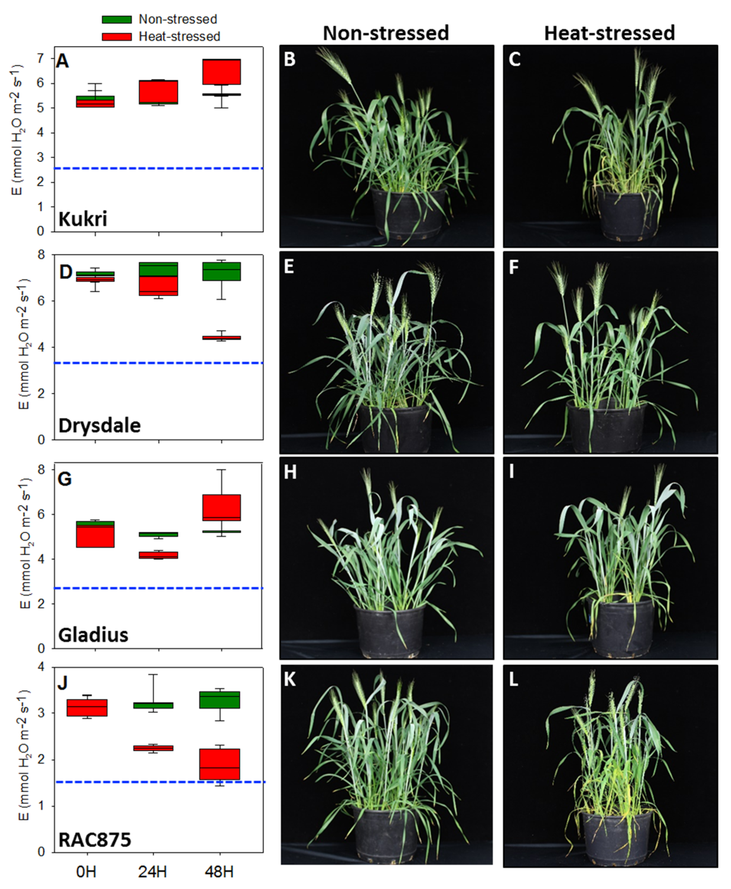 Agronomy 08 00099 g001