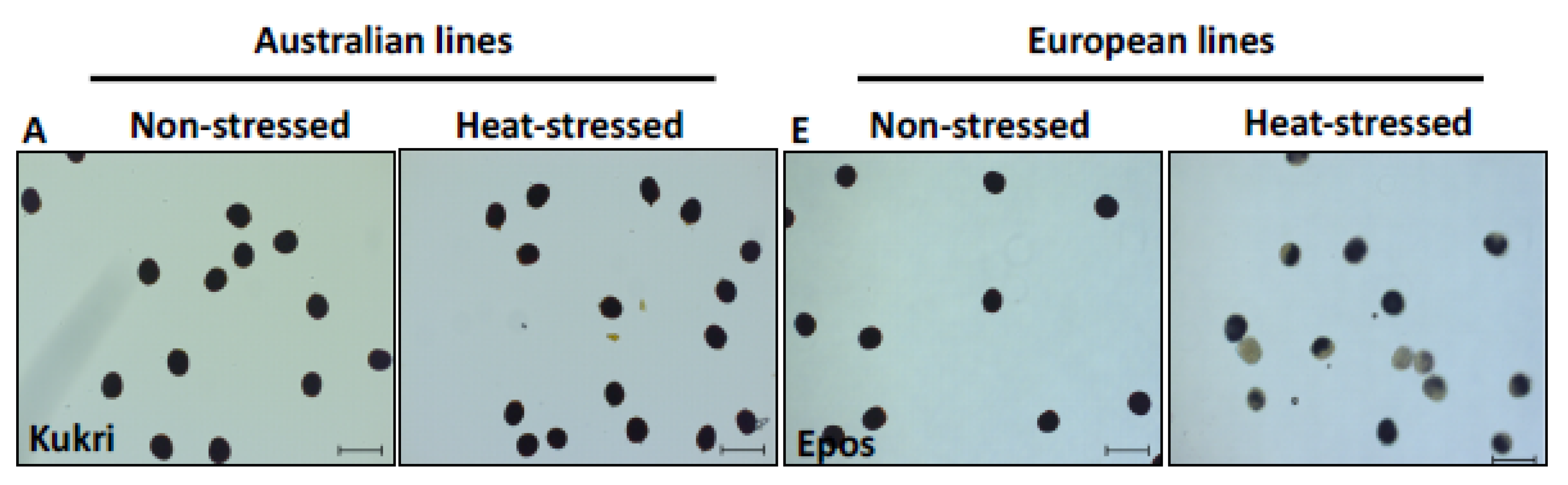 Agronomy 08 00099 g004a