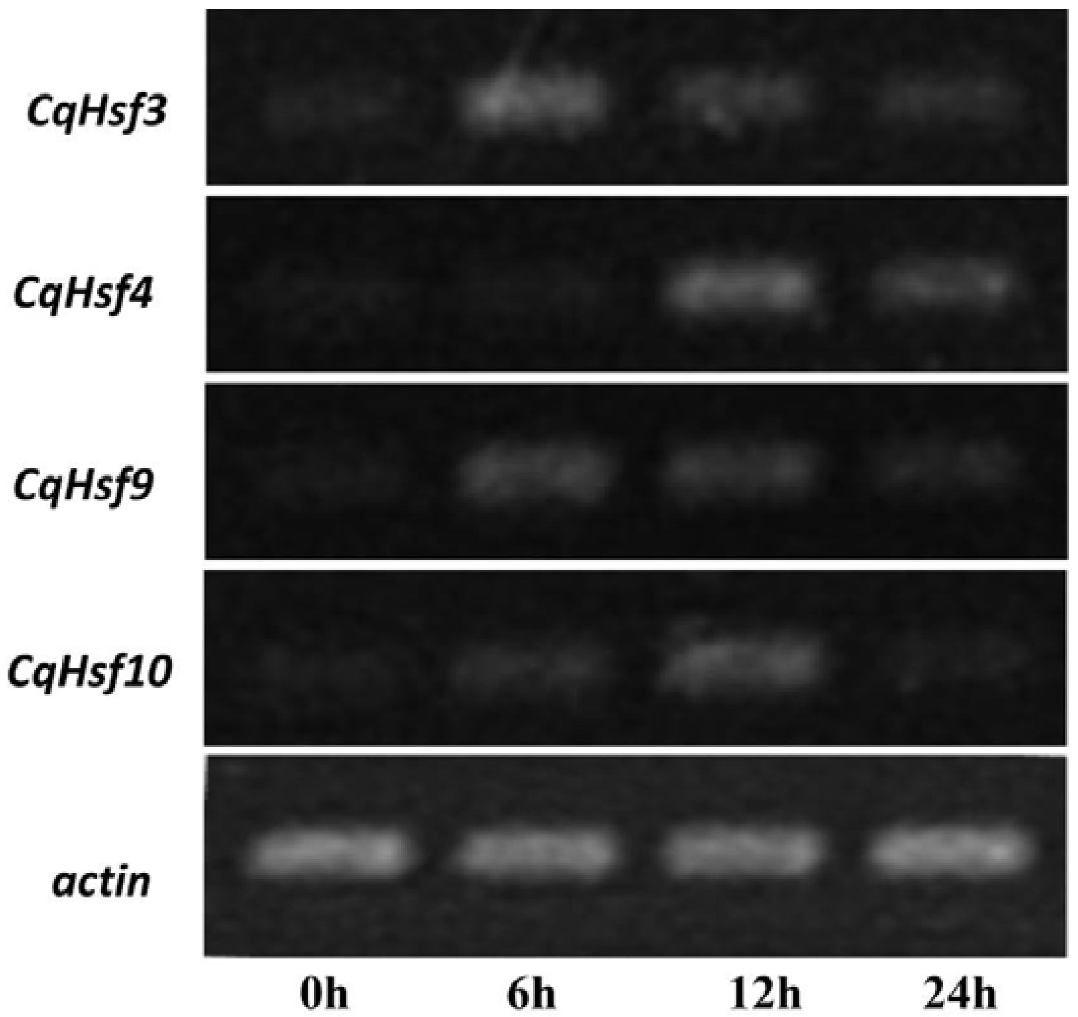 Agronomy 08 00103 g006
