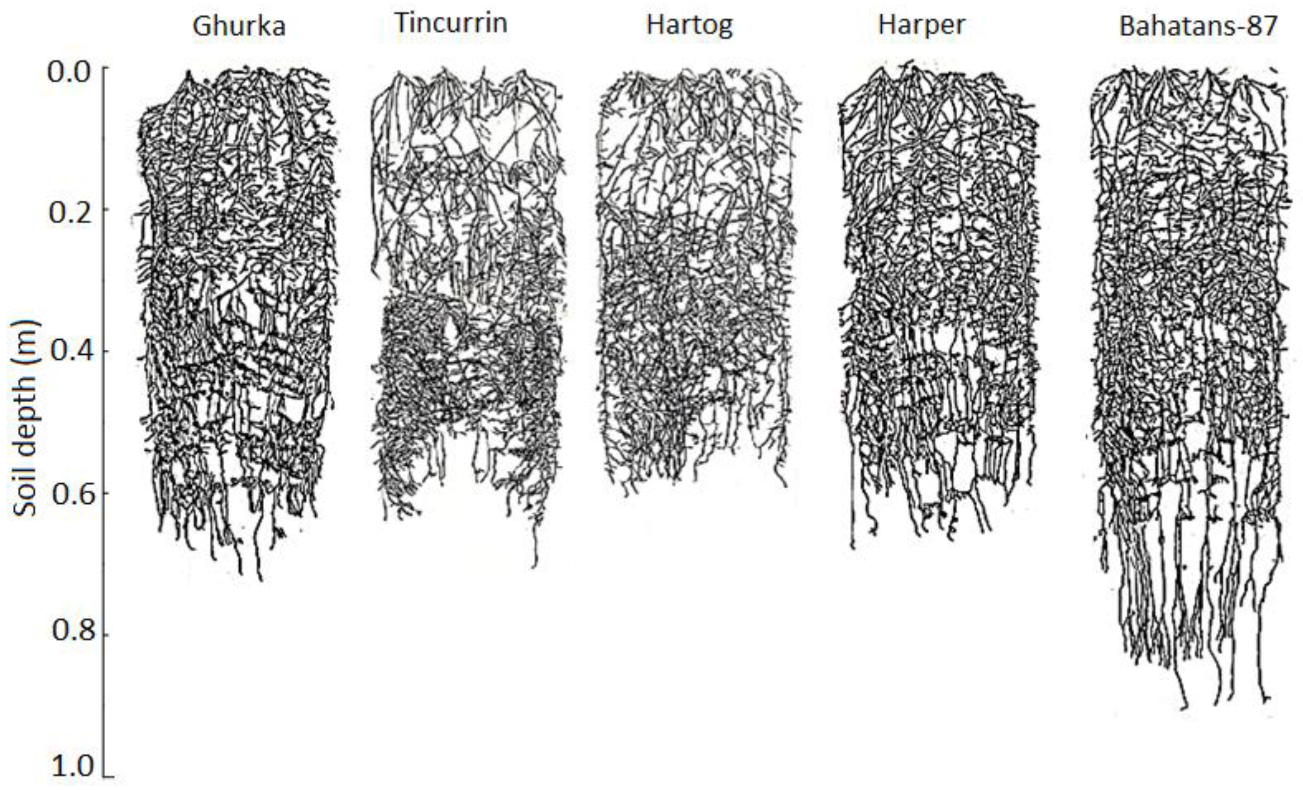 Agronomy 08 00109 g002