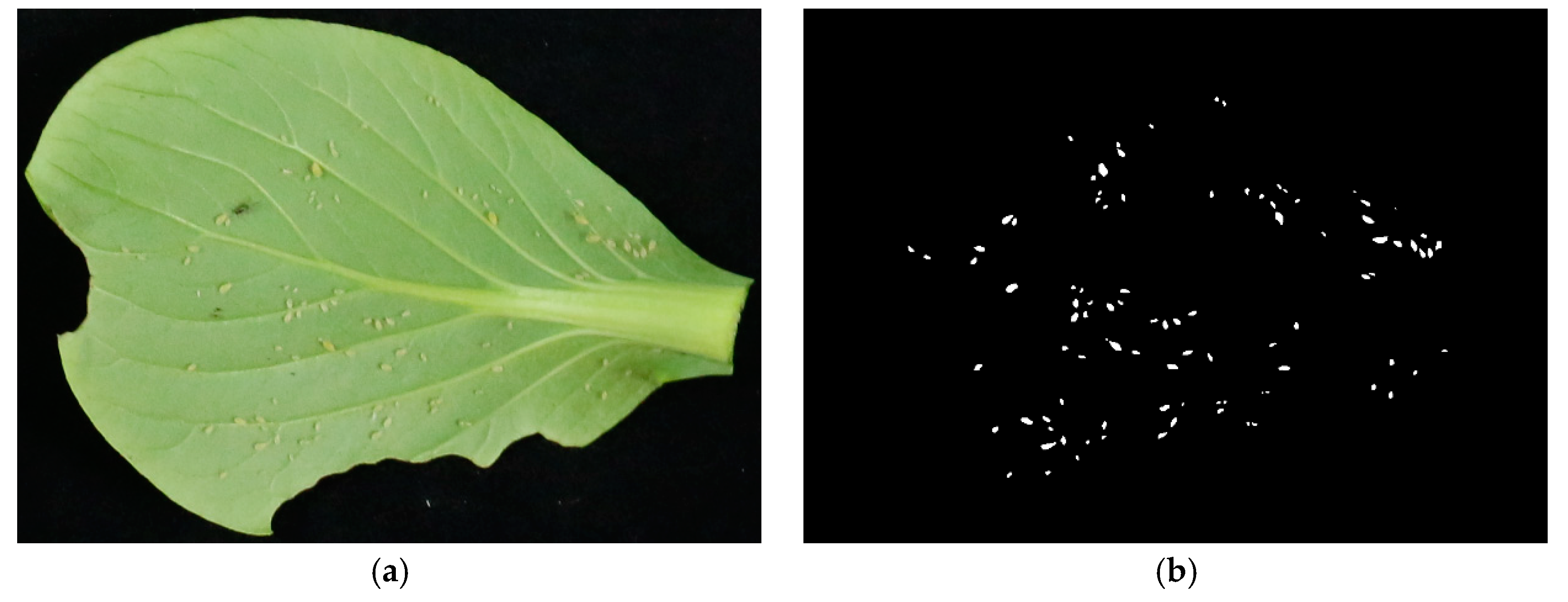 Agronomy 08 00129 g003a