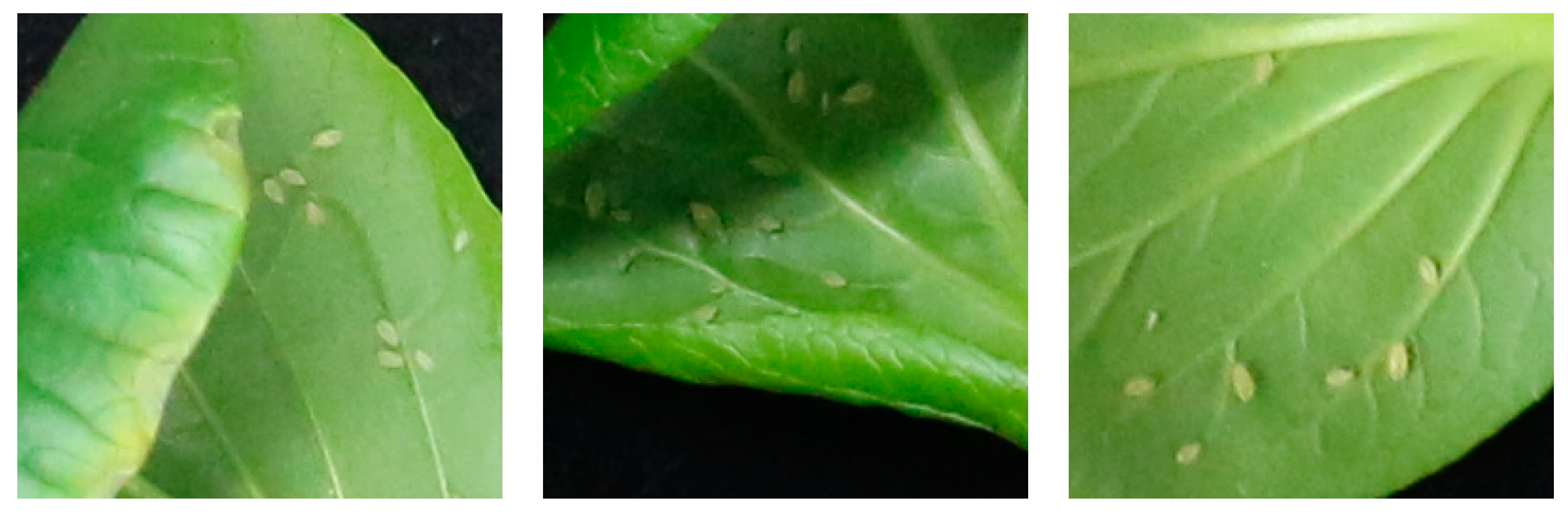 Agronomy 08 00129 g004a