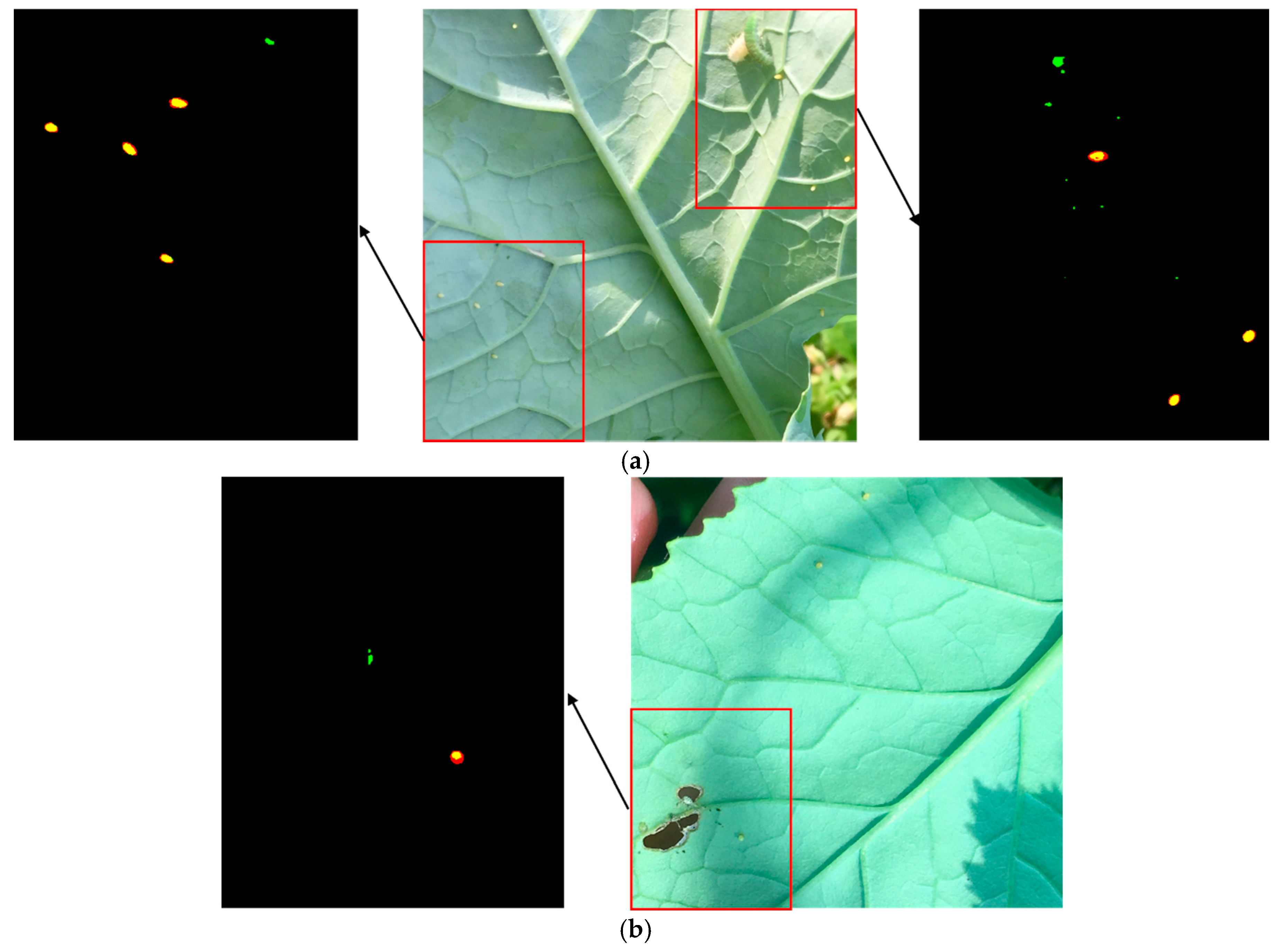 Agronomy 08 00129 g005