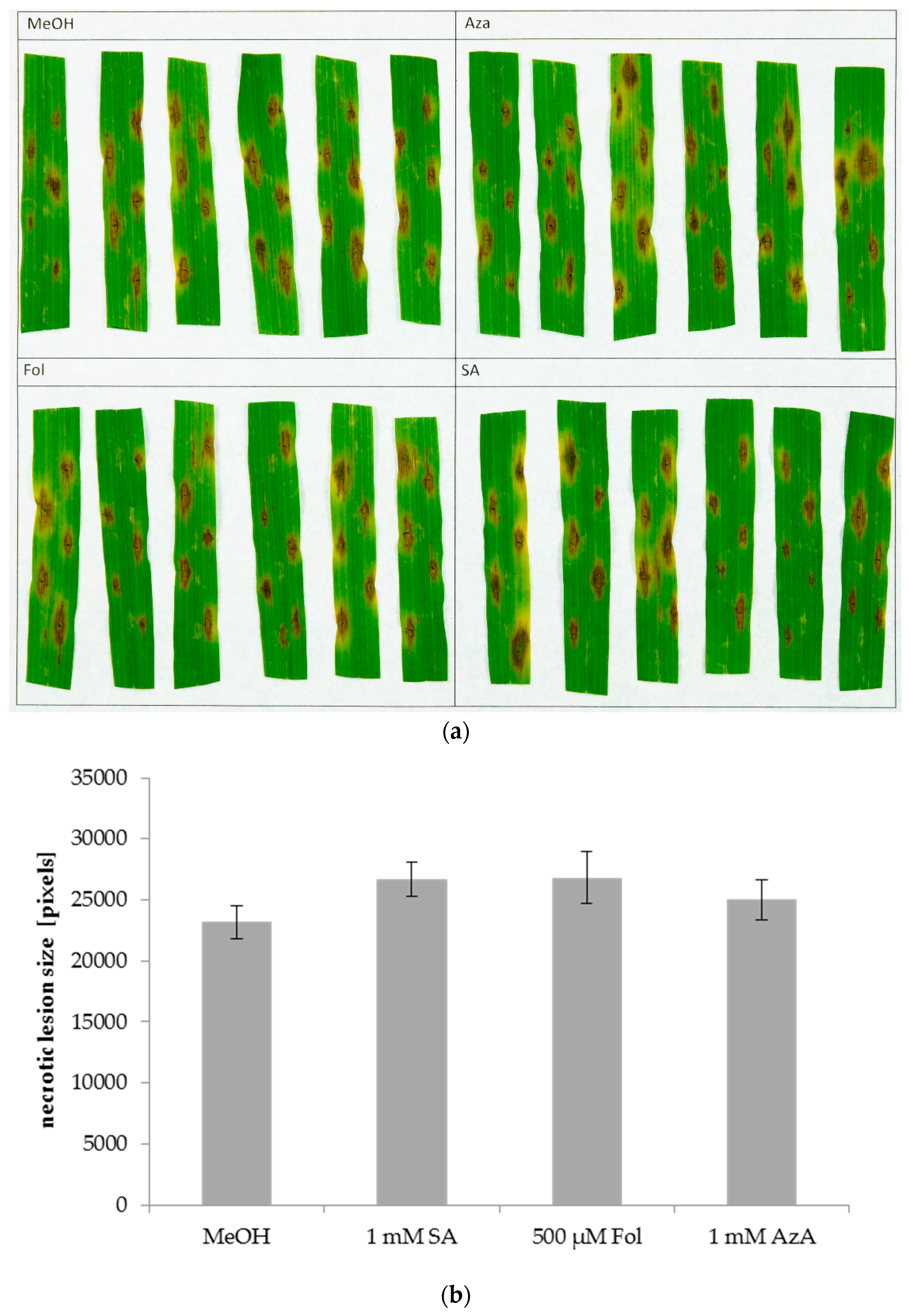 Agronomy 08 00142 g005