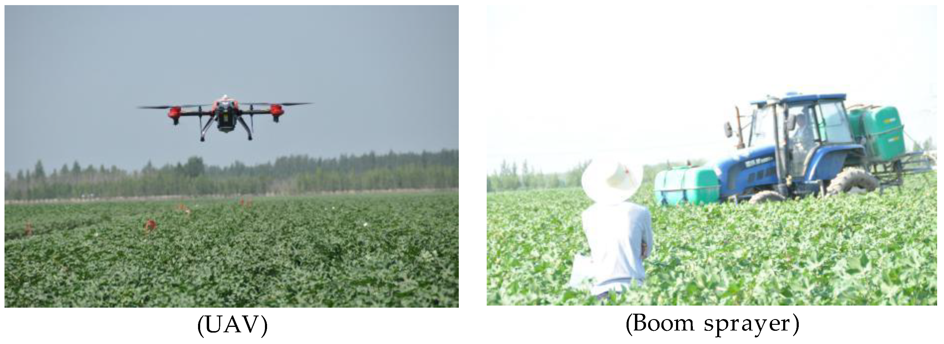 Agronomy 08 00187 g001