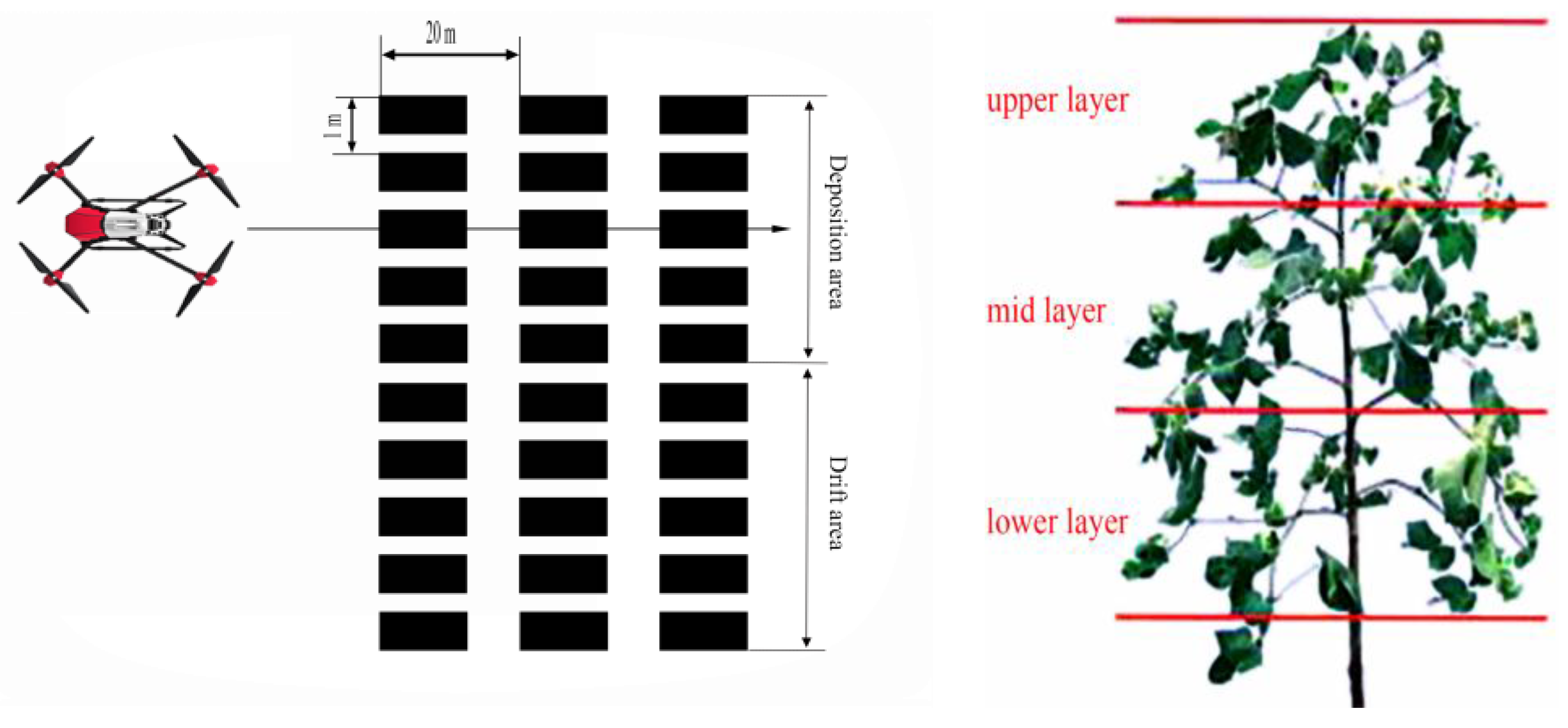 Agronomy 08 00187 g002